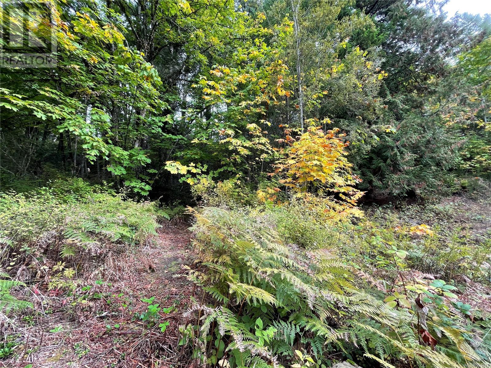 5101 Brenton Page Rd Property Photo 33