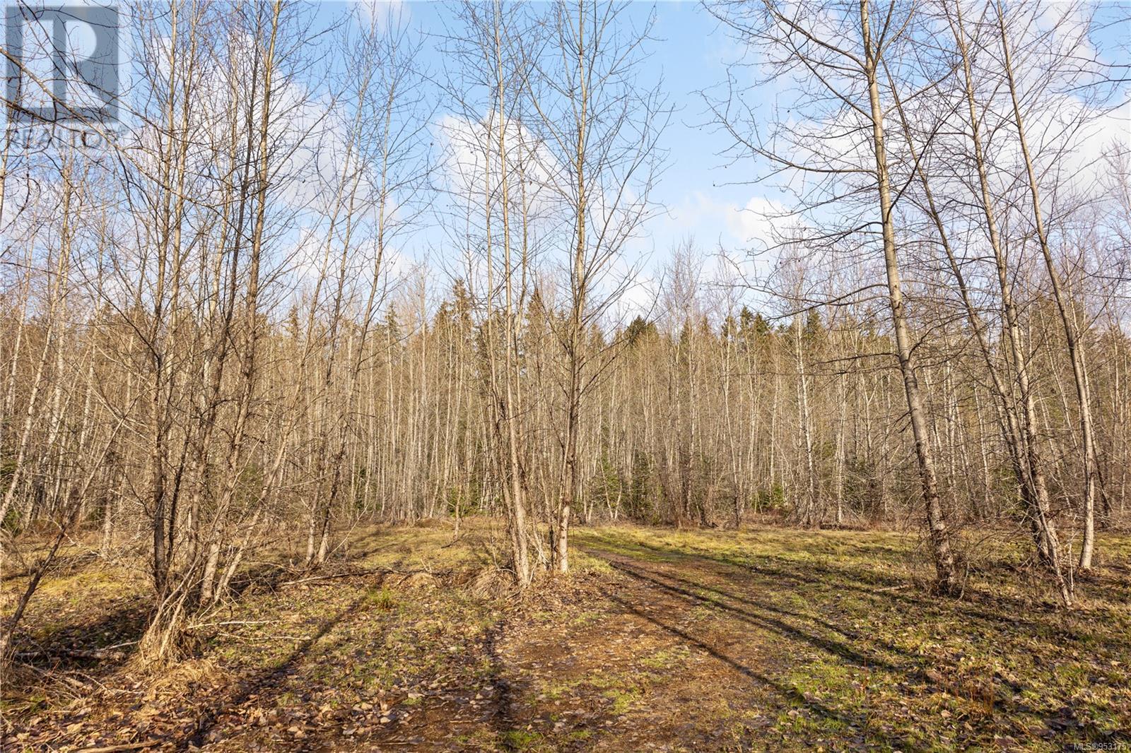 2745 Shaver Rd Property Photo 16
