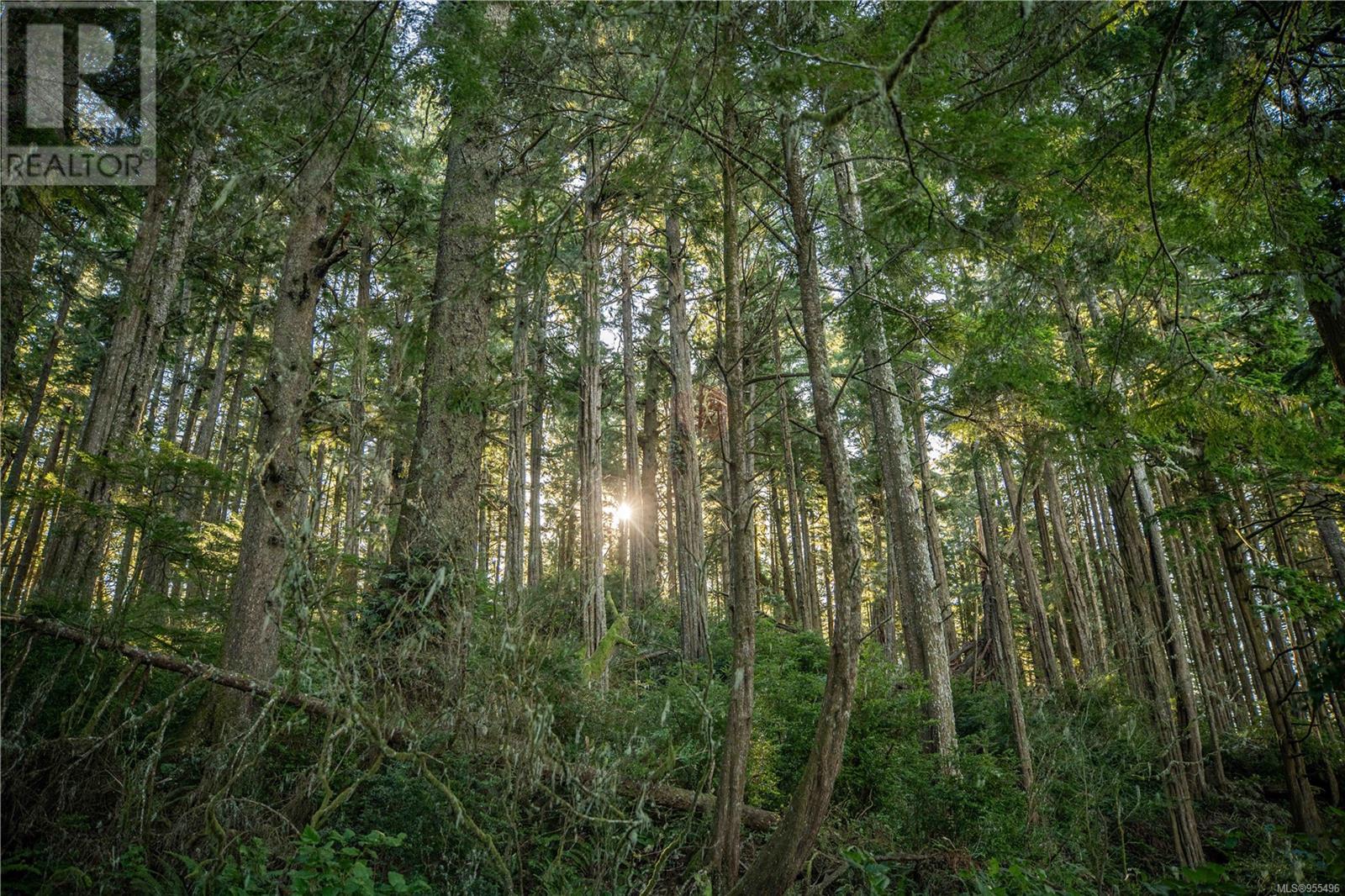 0 Francis Island Property Photo 28