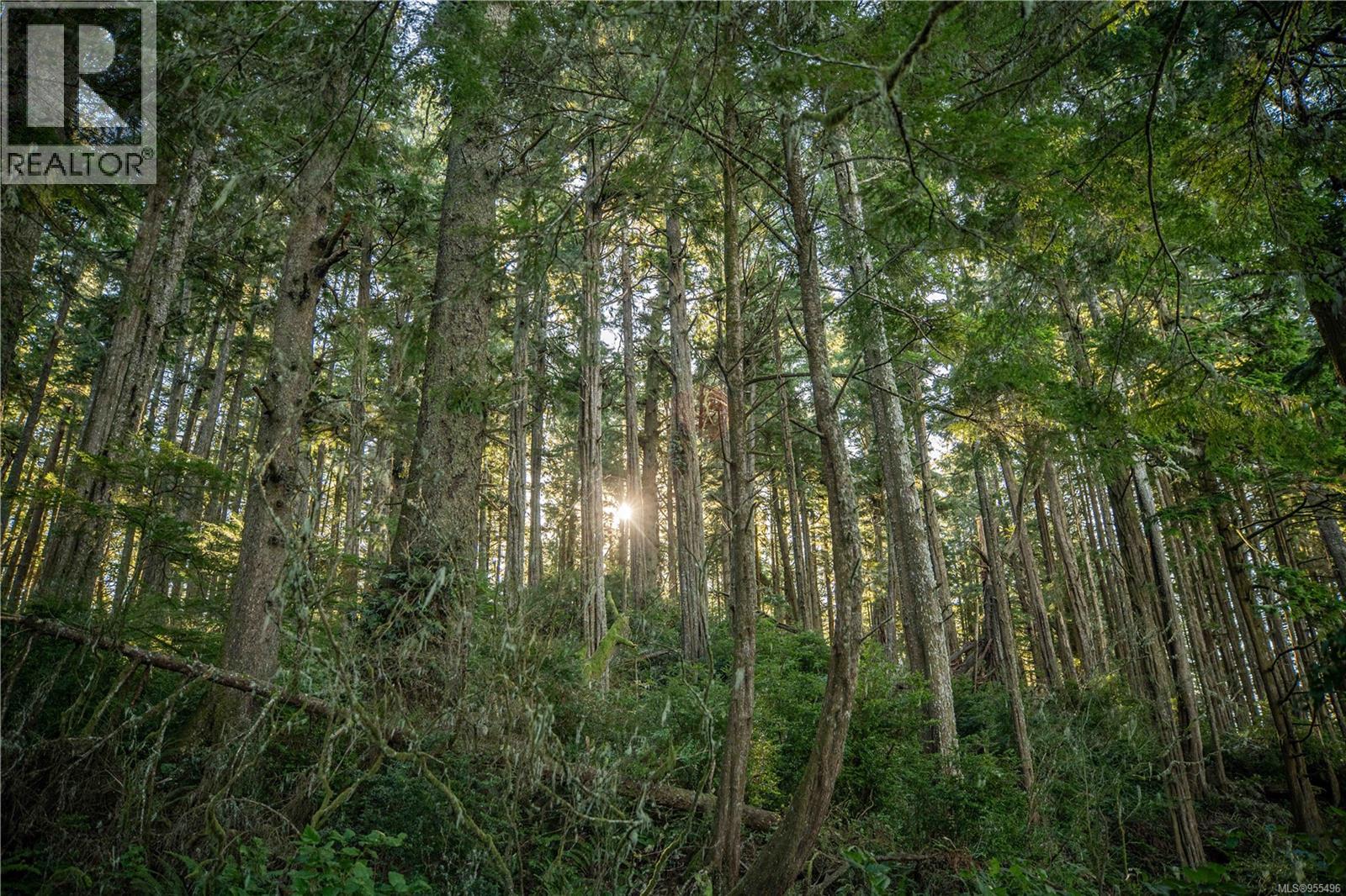 0 Francis Island Property Photo 28