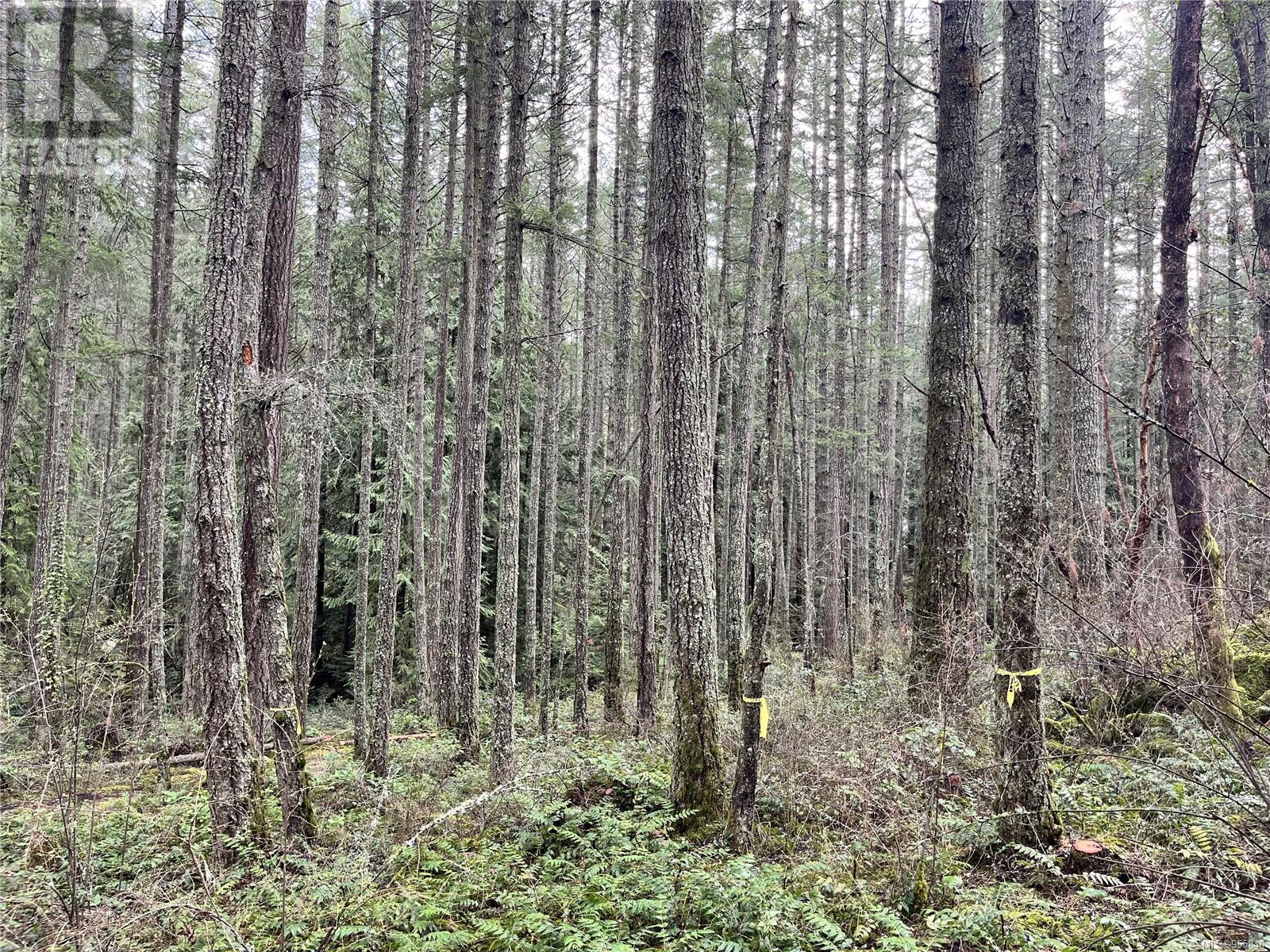 Lot B Alec Rd Property Photo 3