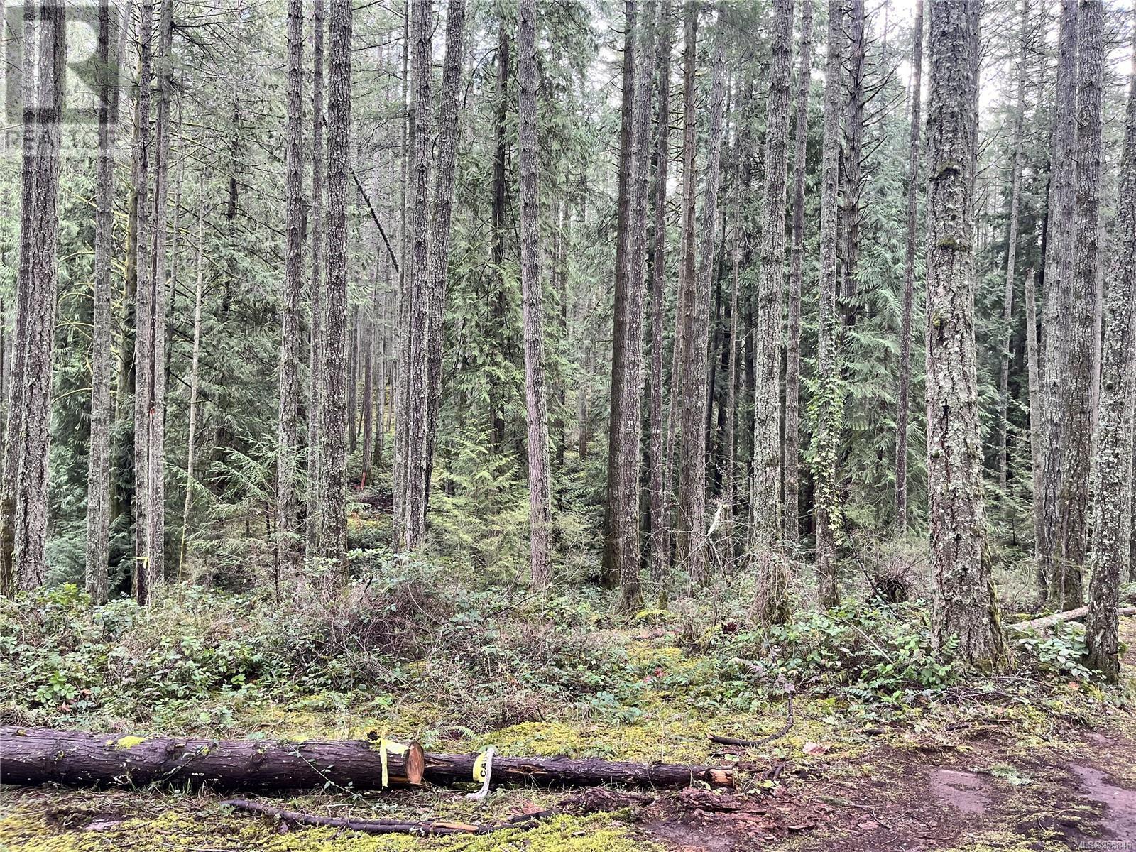 Lot B Alec Rd Property Photo 6