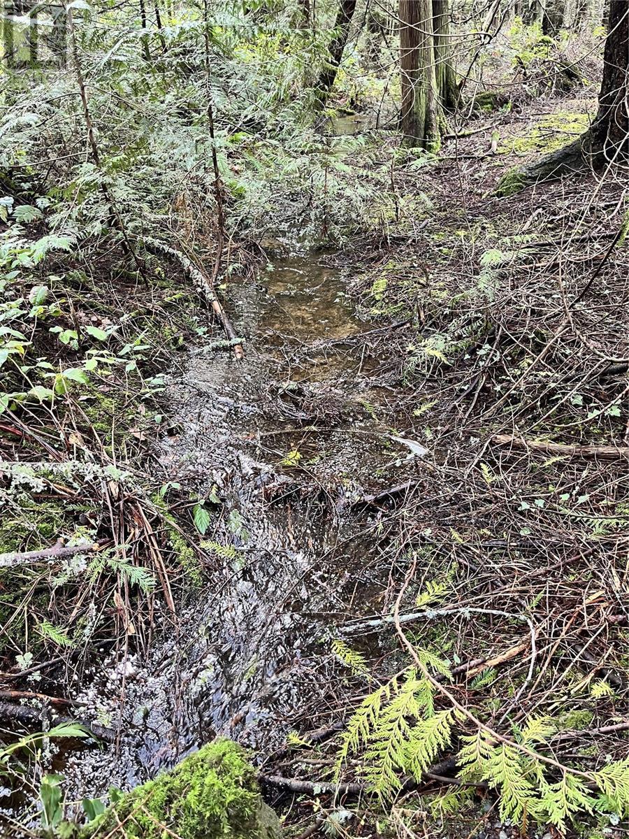 Lot B Alec Rd Property Photo 9