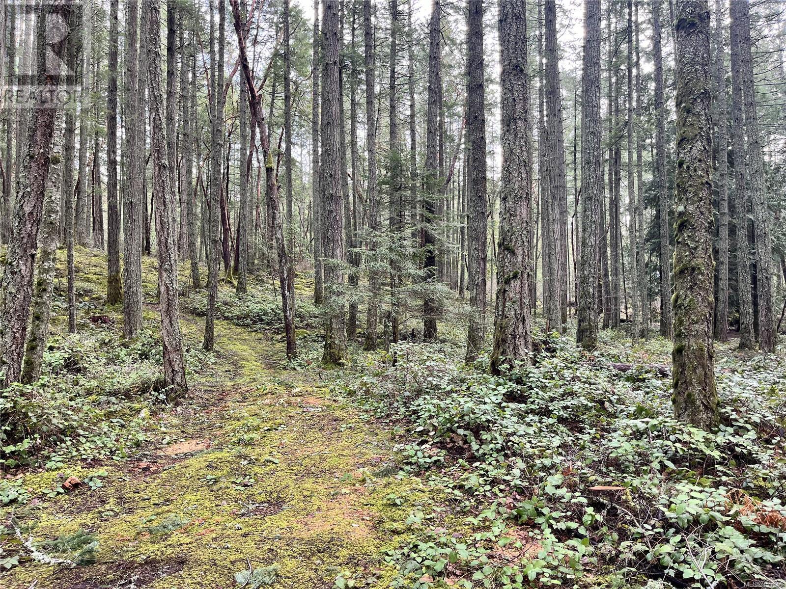 Lot B Alec Rd Property Photo 12