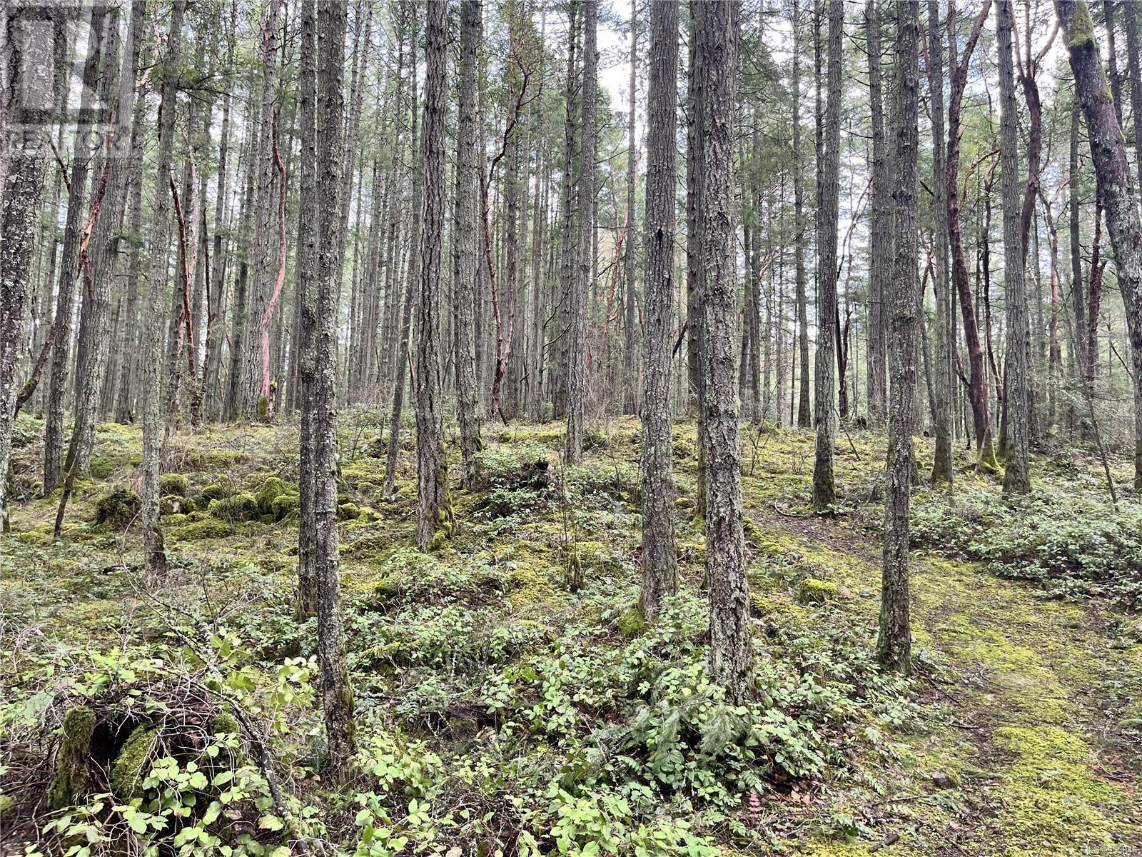 Lot B Alec Rd Property Photo 13