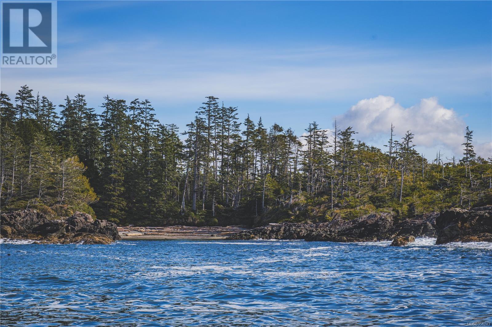 Lot A Vargas Island Property Photo 10