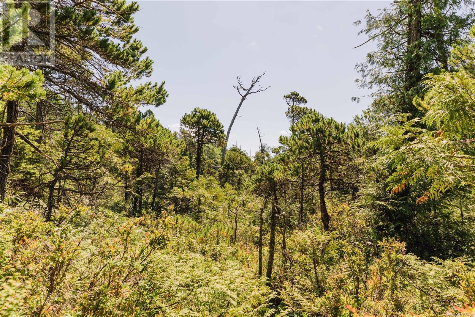 Lot 4 Hawkes Rd Property Photo 15