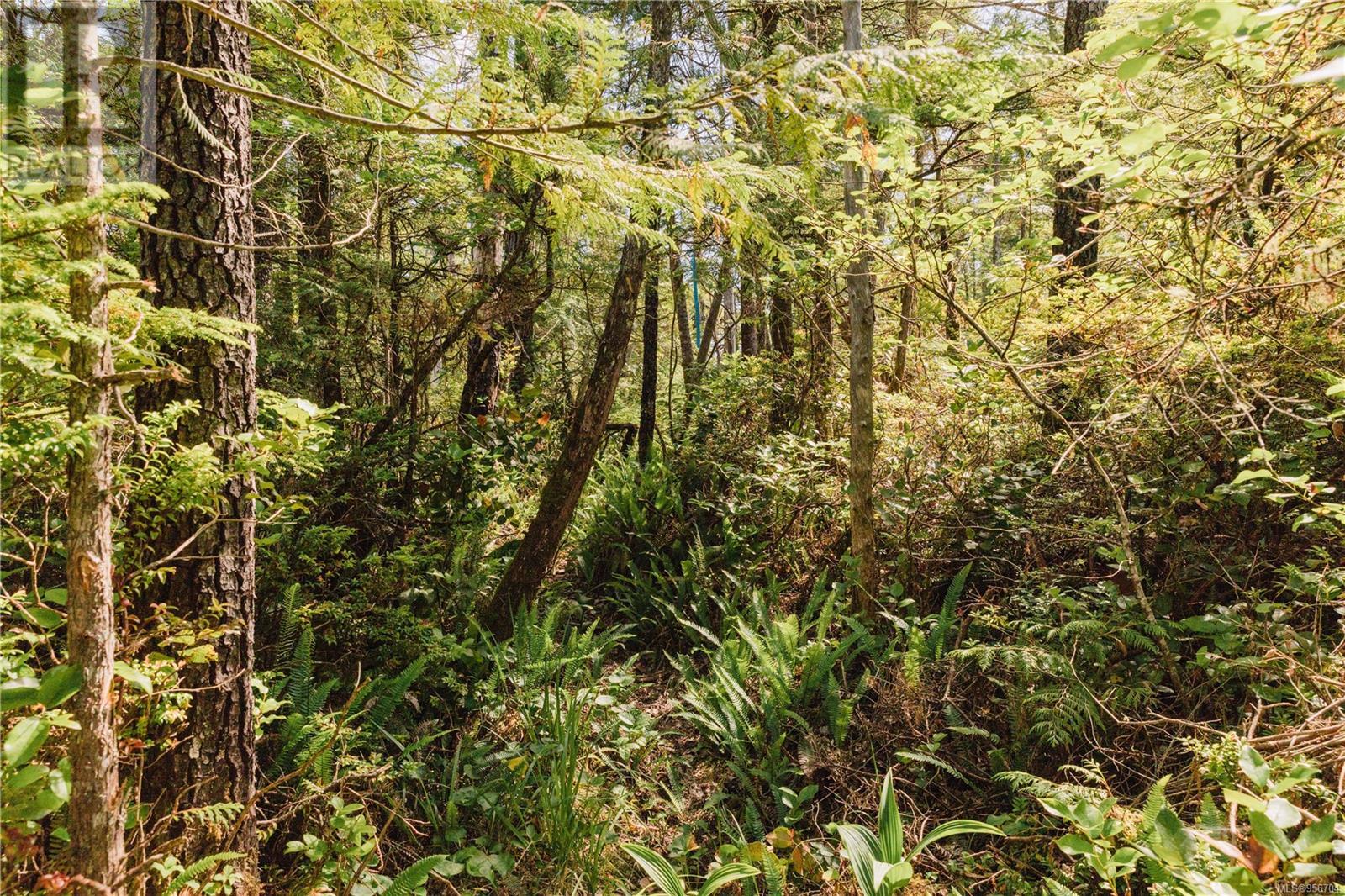 Lot 4 Hawkes Rd Property Photo 16