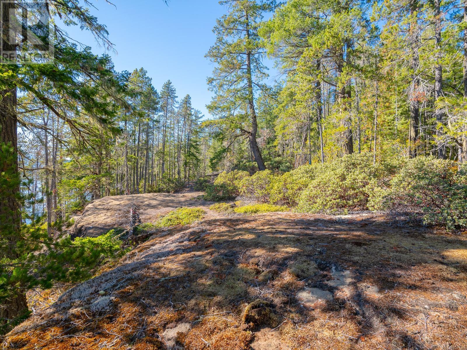 Sl 1 11196 Taylor Arm Dr Property Photo 18