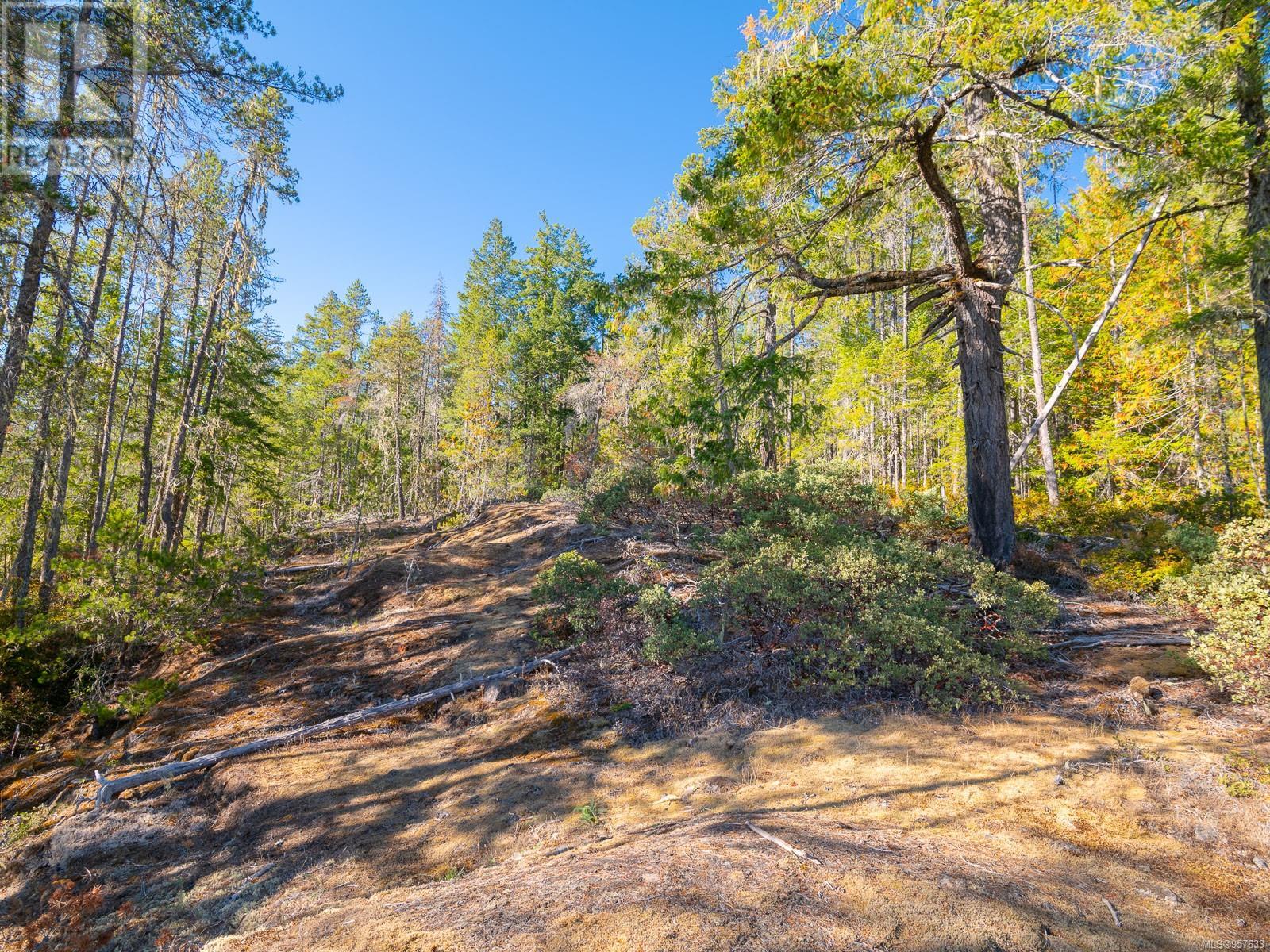 Sl 1 11196 Taylor Arm Dr Property Photo 22