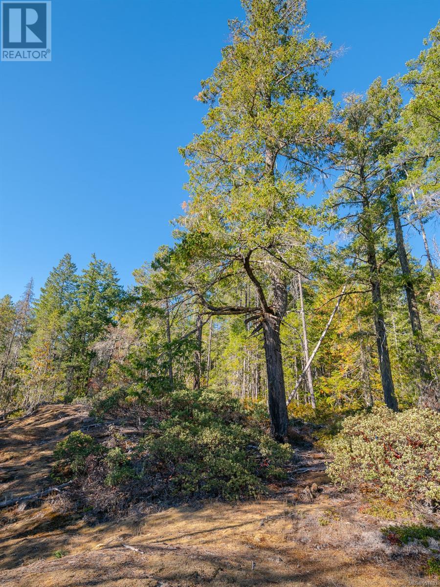Sl 1 11196 Taylor Arm Dr Property Photo 23
