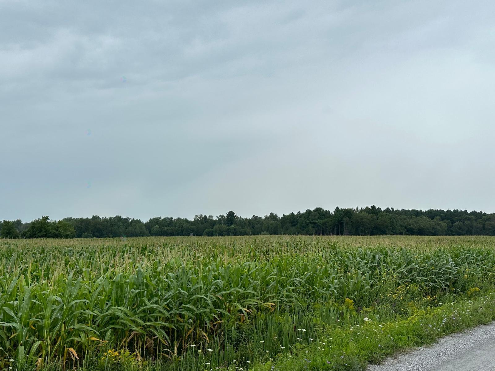 Route 202 Property Photo 1
