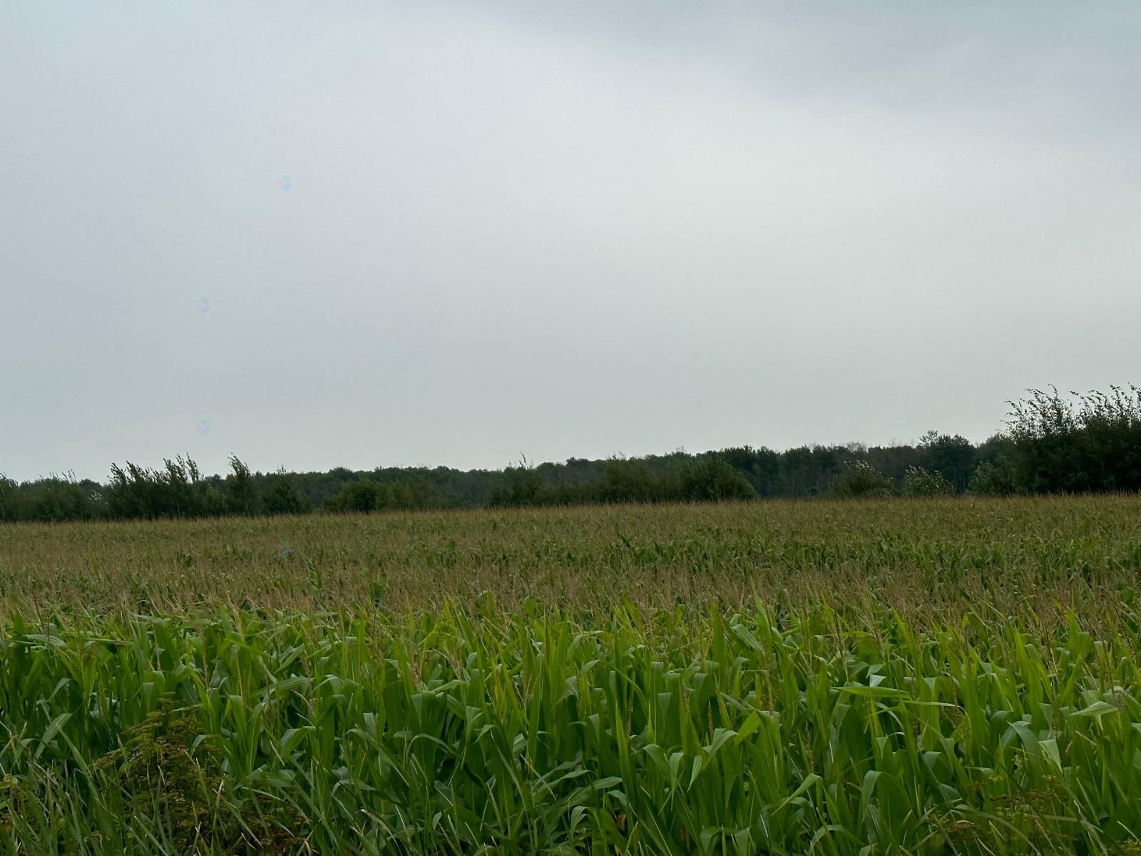Route 202 Property Photo 3