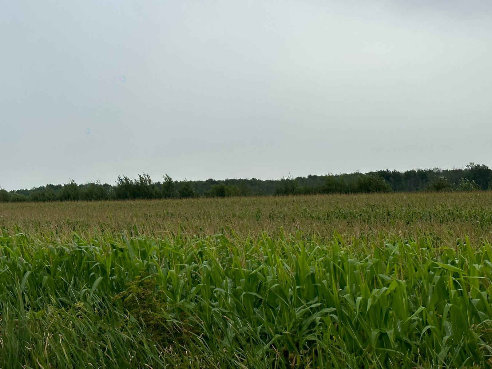 Route 202 Property Photo 5