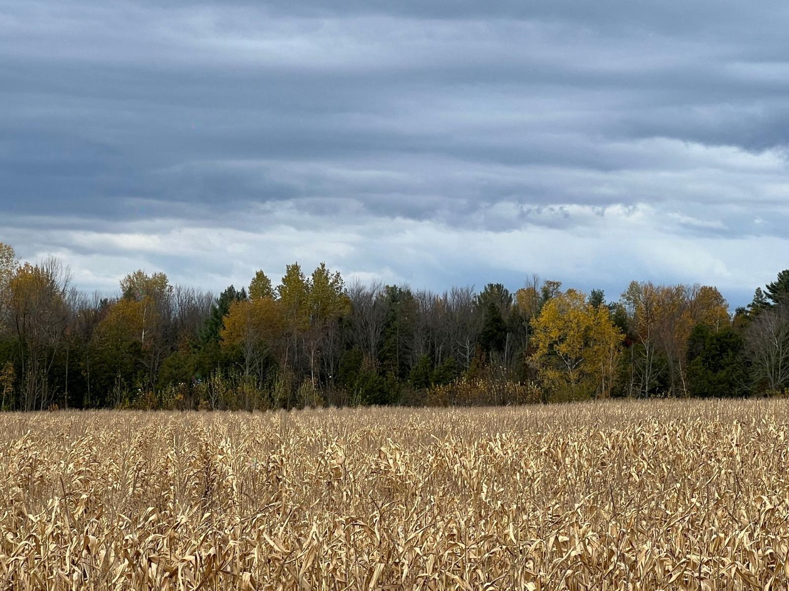 Route 202 Property Photo 10