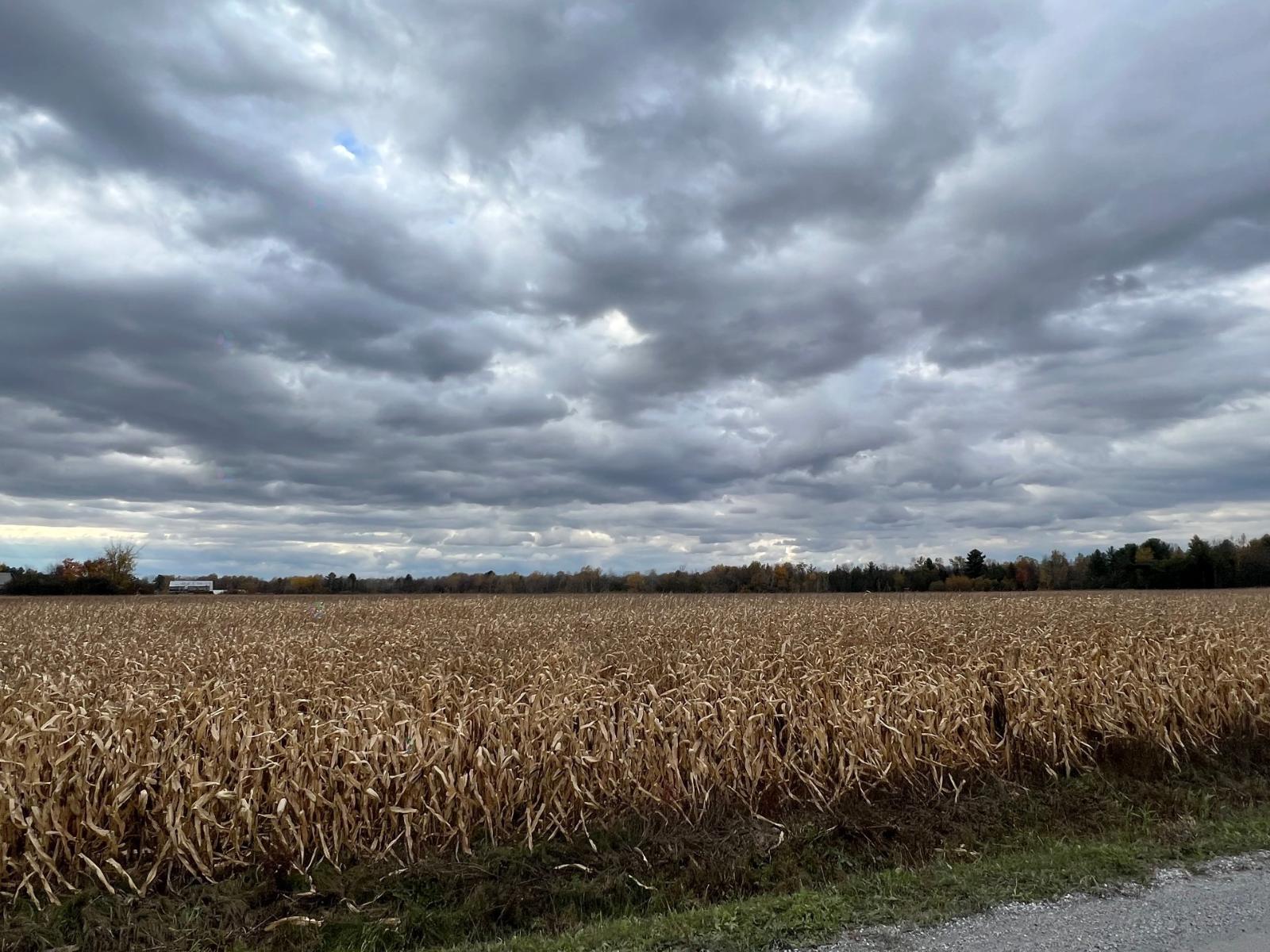 Route 202 Property Photo 14