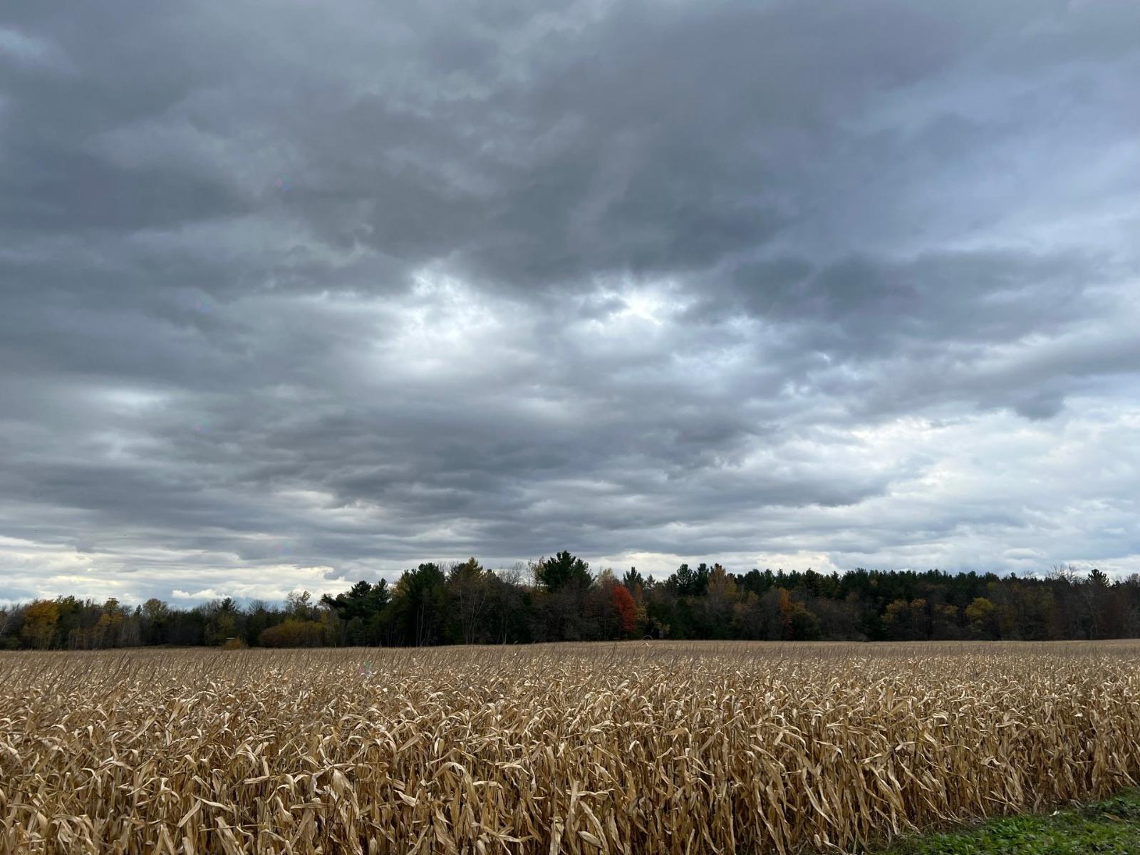 Route 202 Property Photo 18