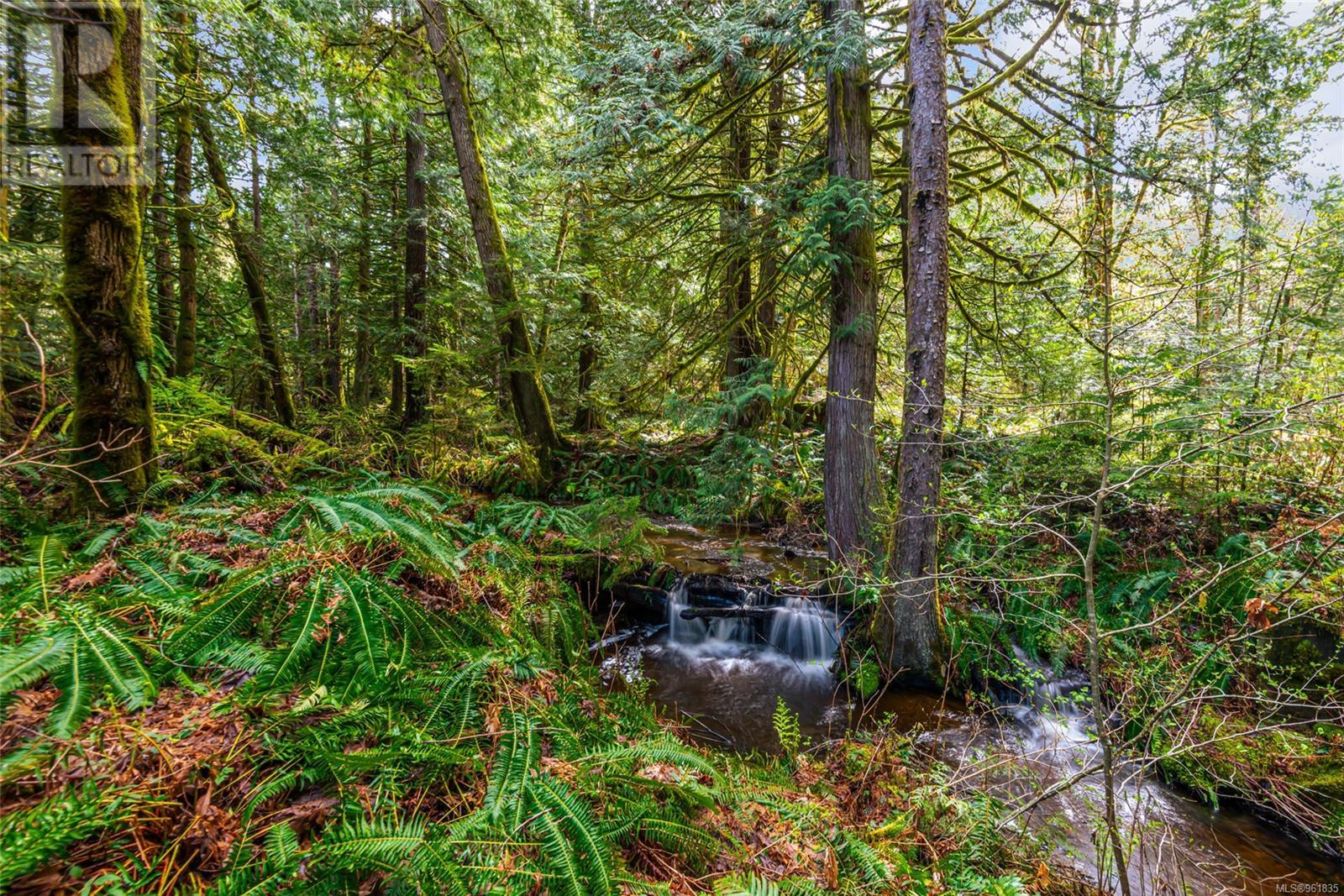 Lot 13 Island Hwy W Property Photo 10