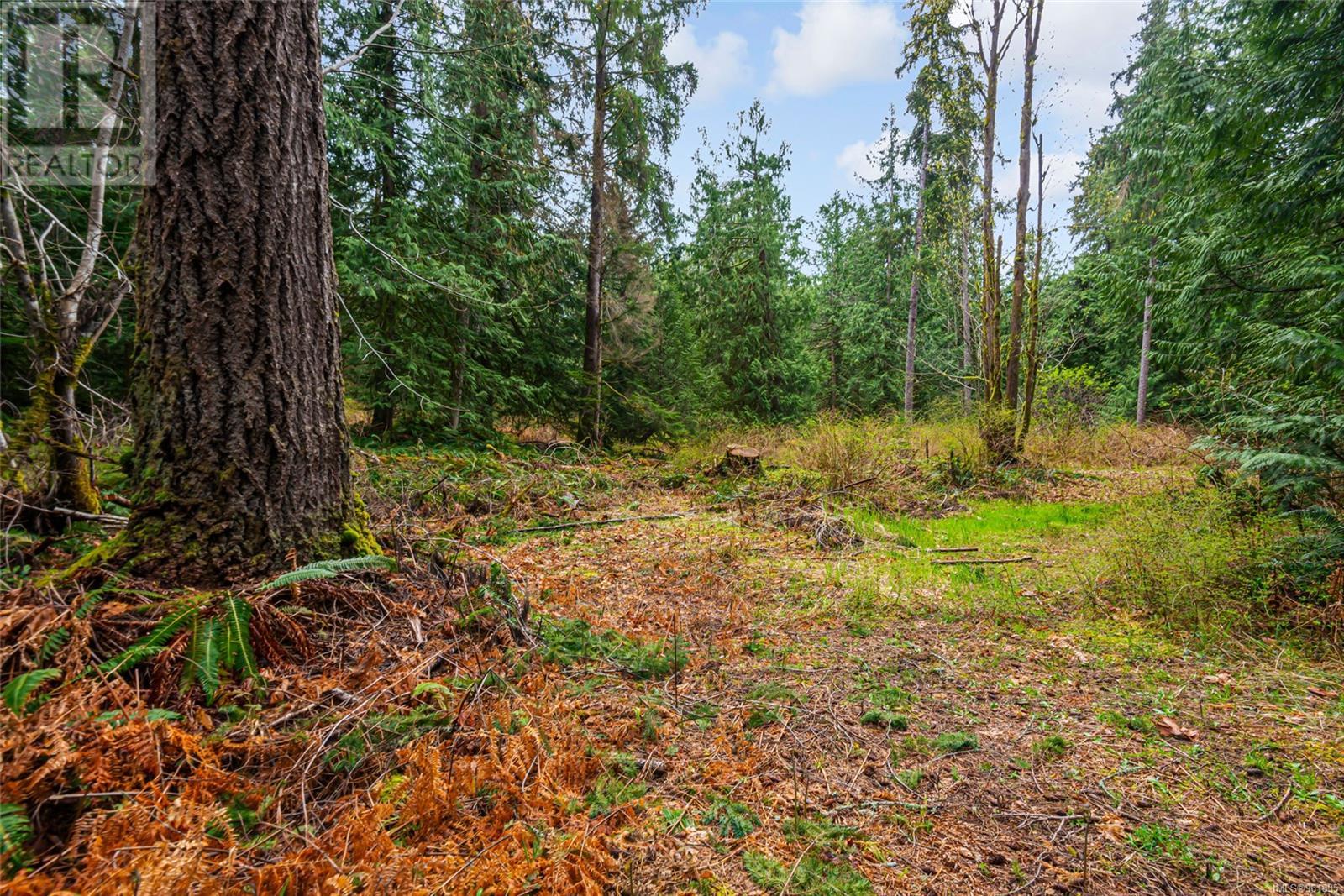 Lot 13 Island Hwy W Property Photo 14