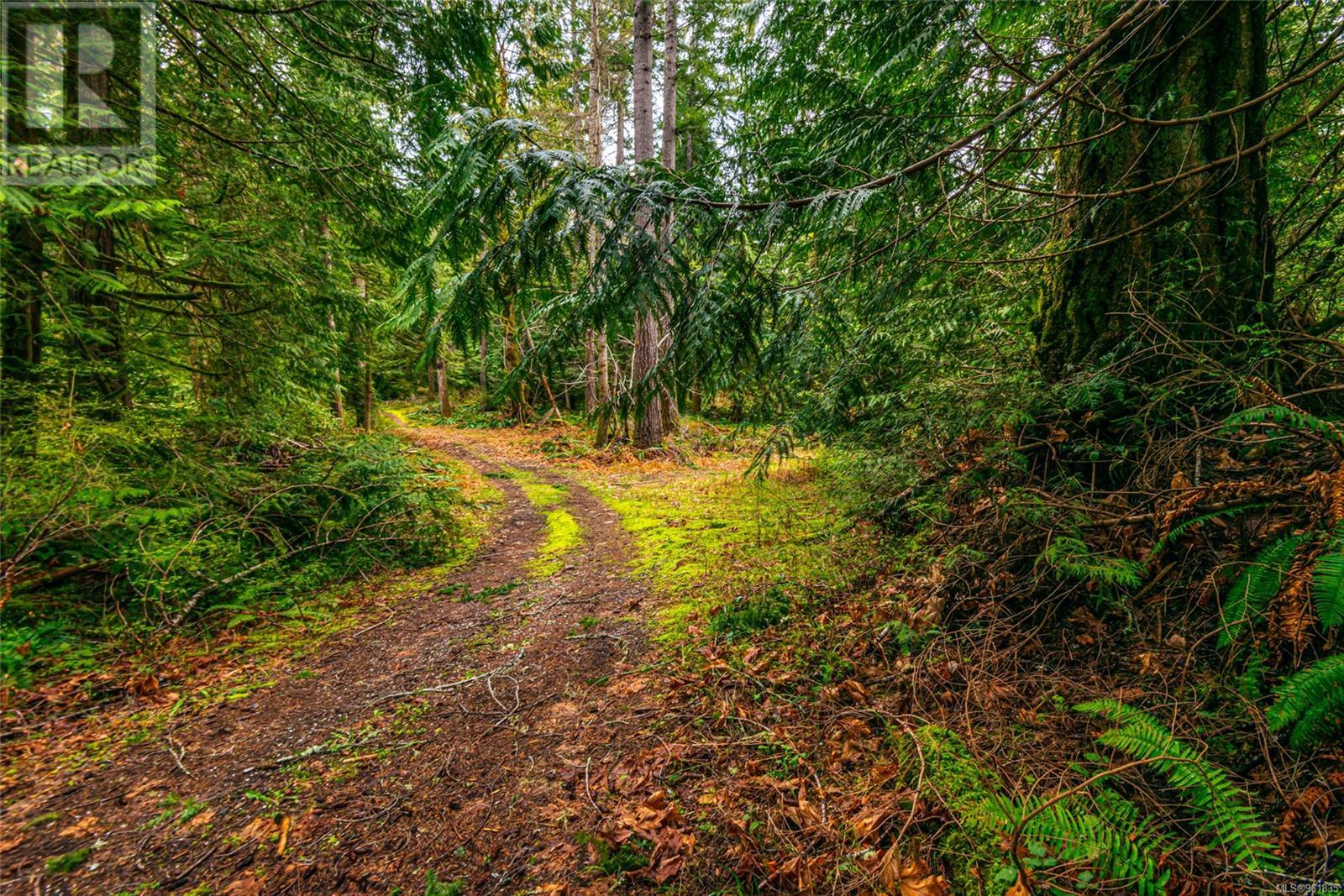 Lot 13 Island Hwy W Property Photo 17