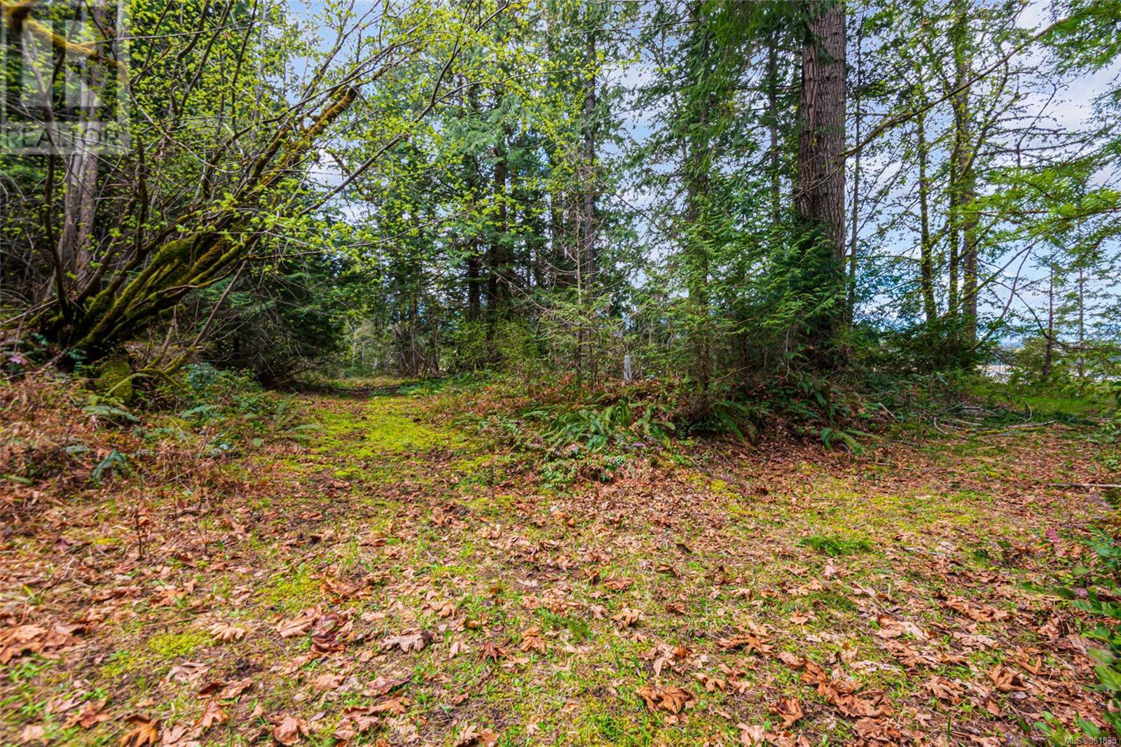 Lot 13 Island Hwy W Property Photo 18