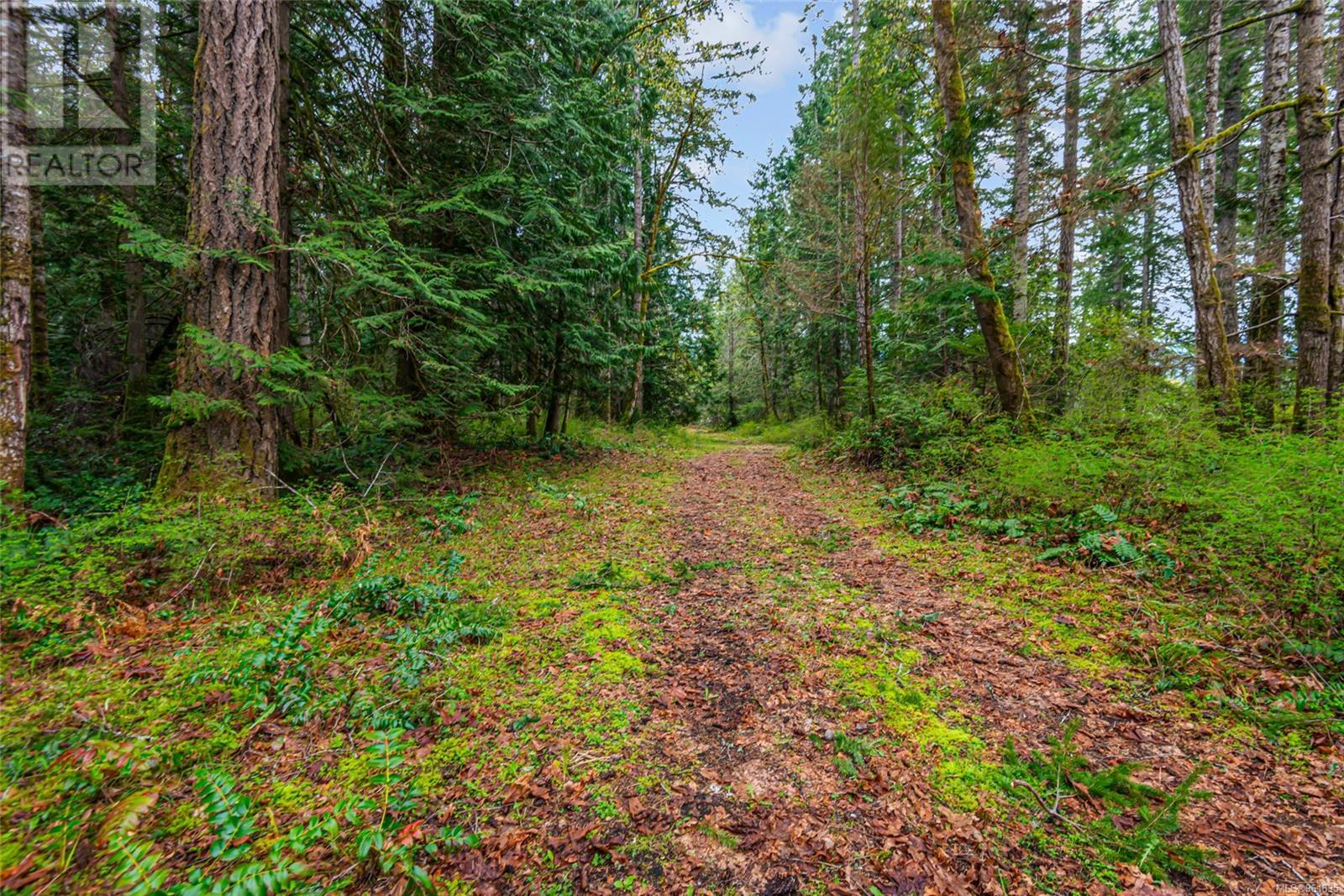 Lot 13 Island Hwy W Property Photo 36