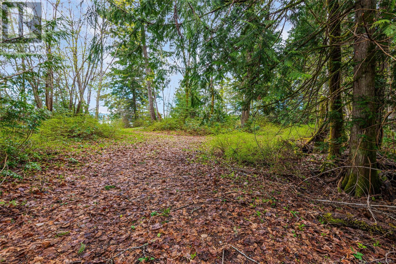 Lot 13 Island Hwy W Property Photo 38
