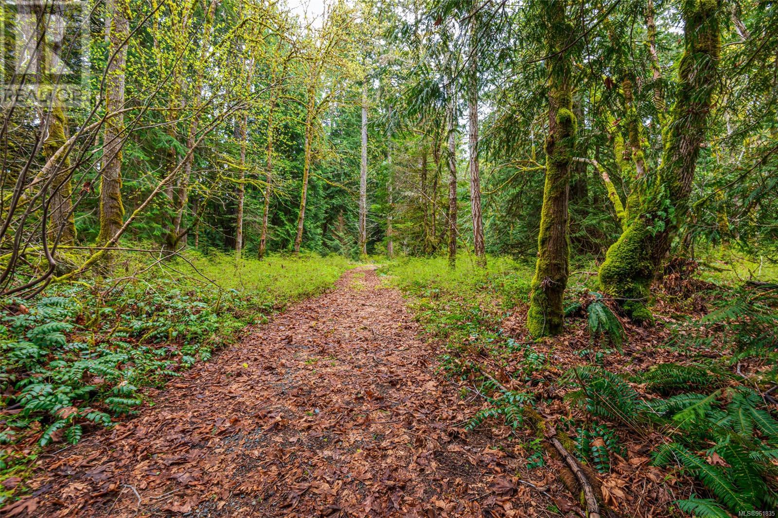 Lot 13 Island Hwy W Property Photo 39