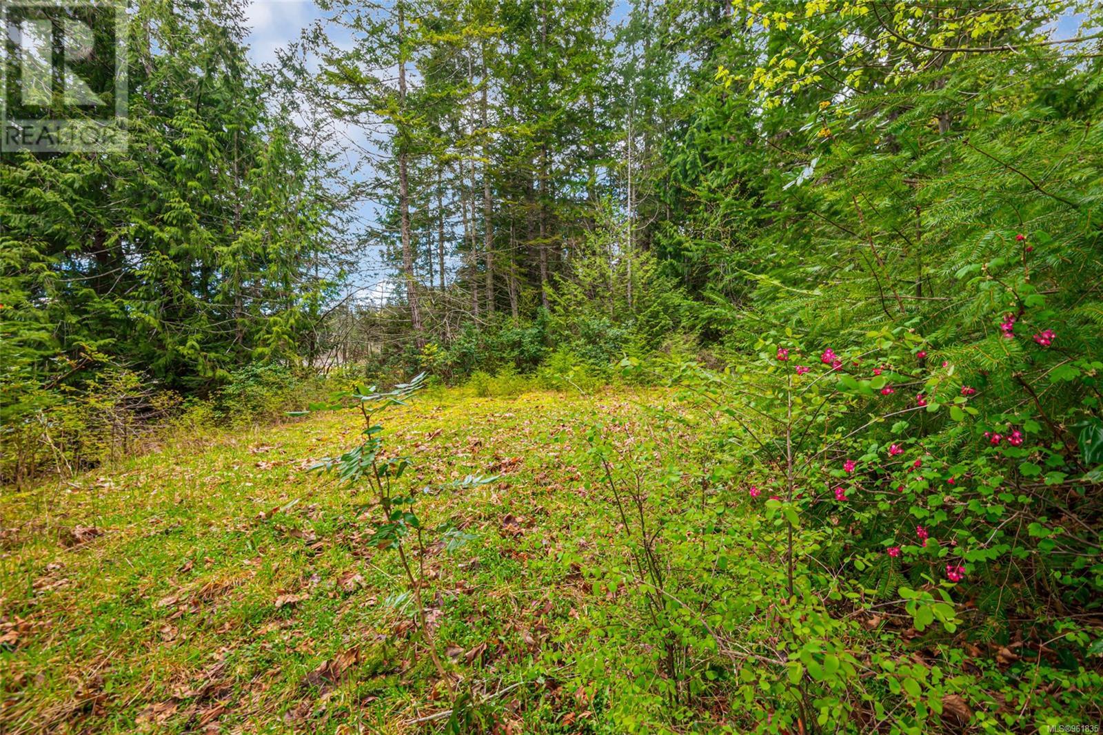 Lot 13 Island Hwy W Property Photo 42
