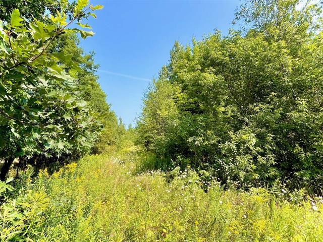 Ch. Ostiguy Property Photo 1
