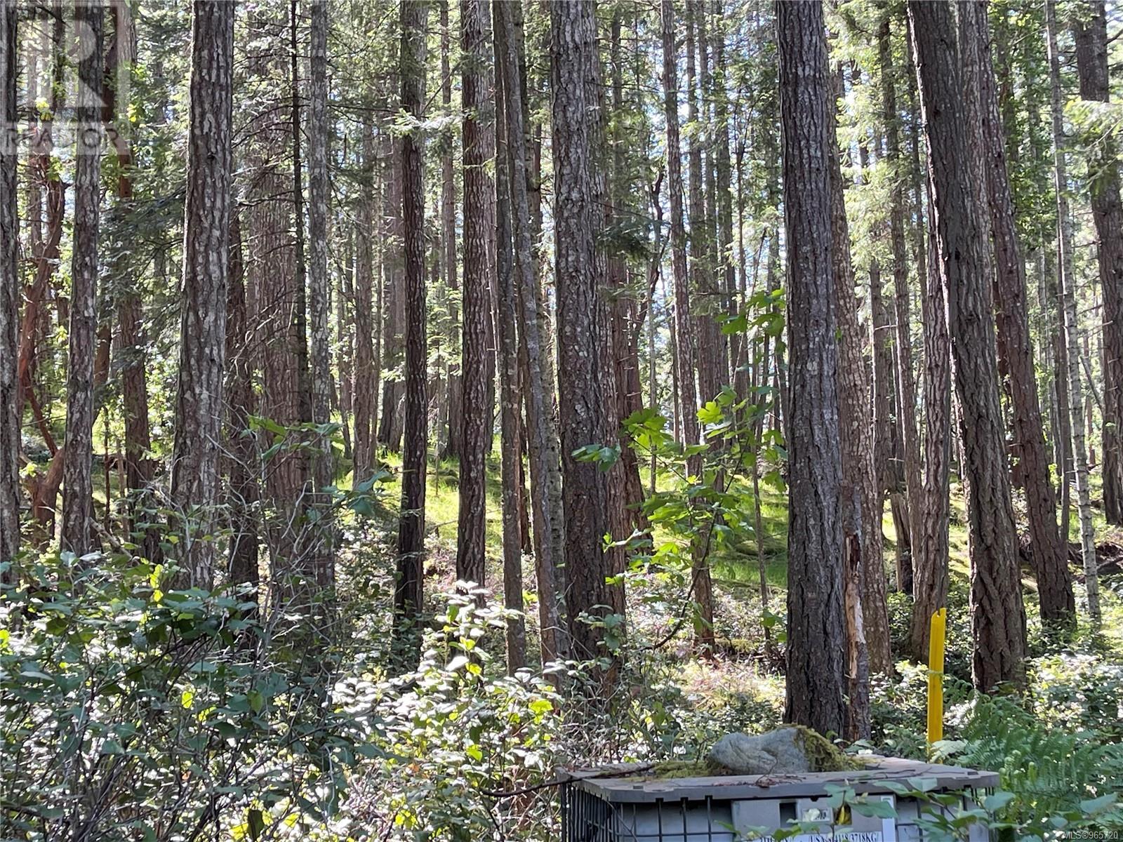 Lot 2 Driftwood Dr Property Photo 4
