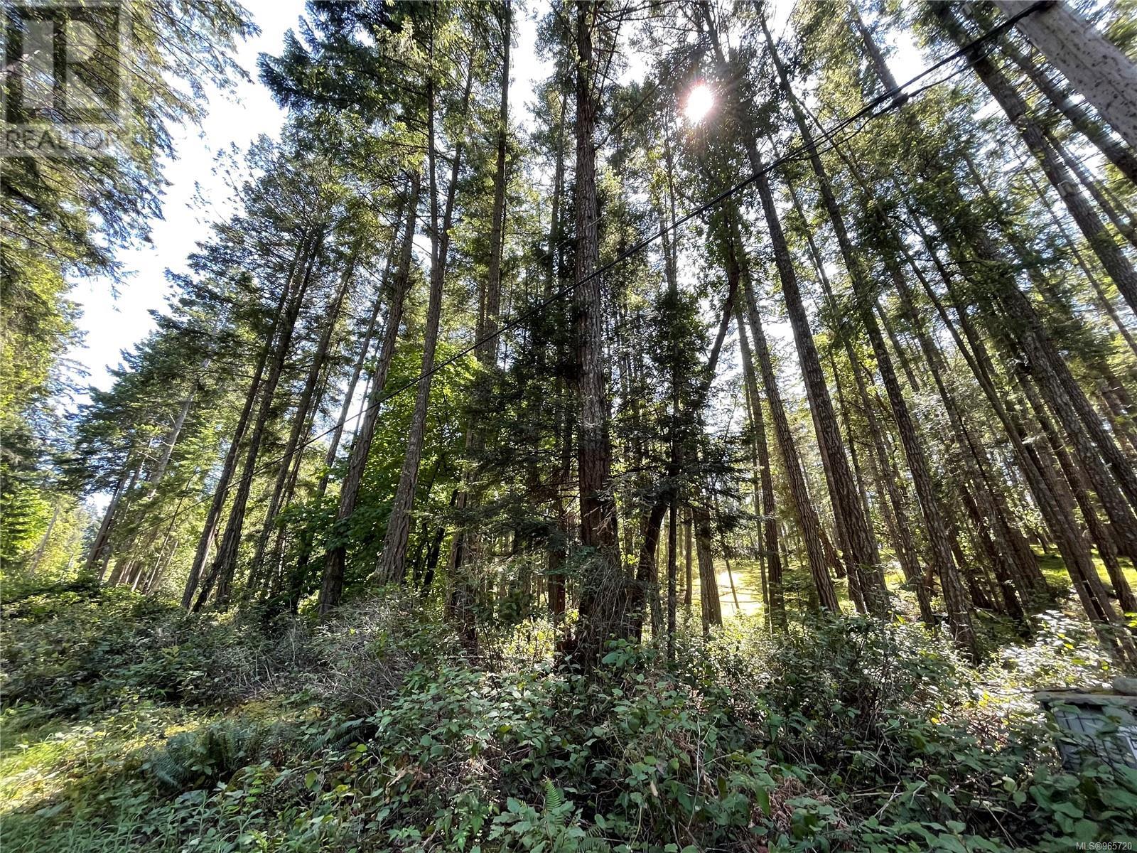 Lot 2 Driftwood Dr Property Photo 6