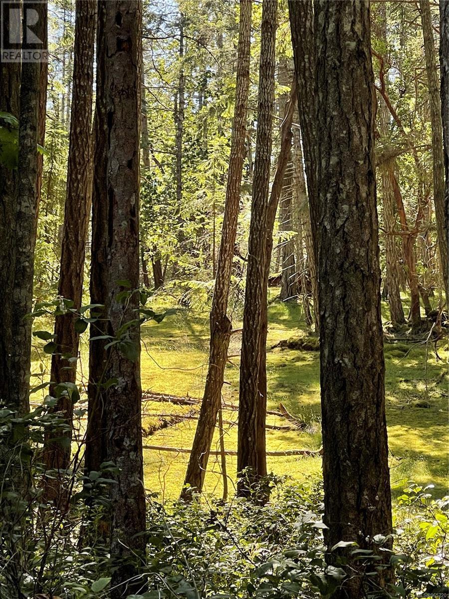 Lot 2 Driftwood Dr Property Photo 7