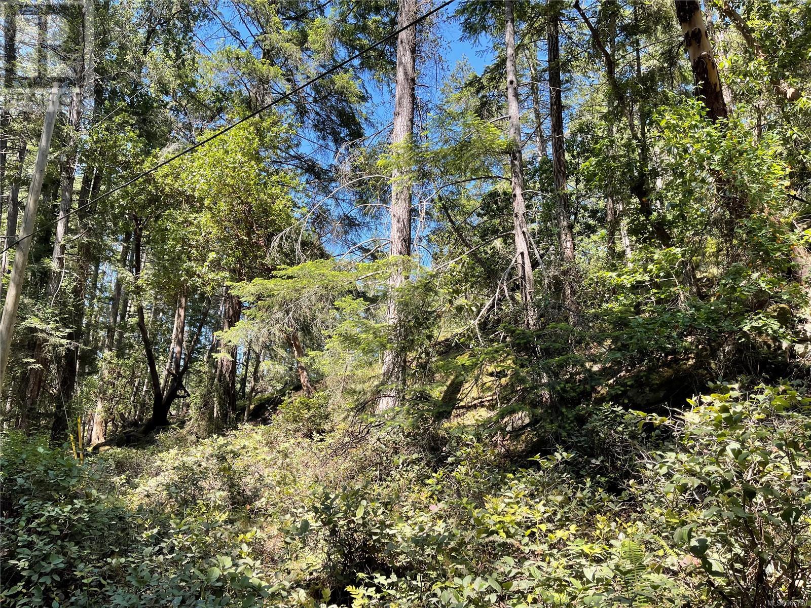 Lot 2 Driftwood Dr Property Photo 13