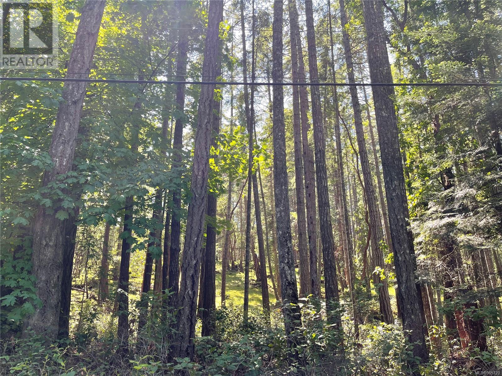 Lot 2 Driftwood Dr Property Photo 14