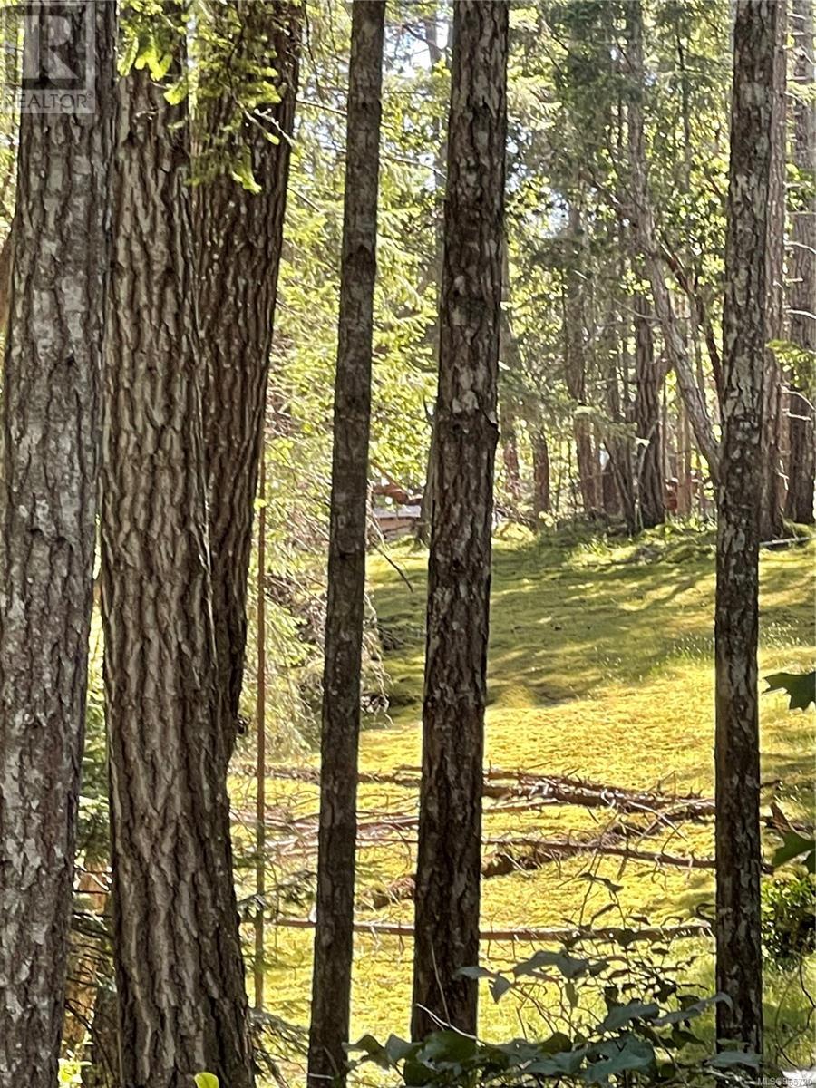 Lot 2 Driftwood Dr Property Photo 17