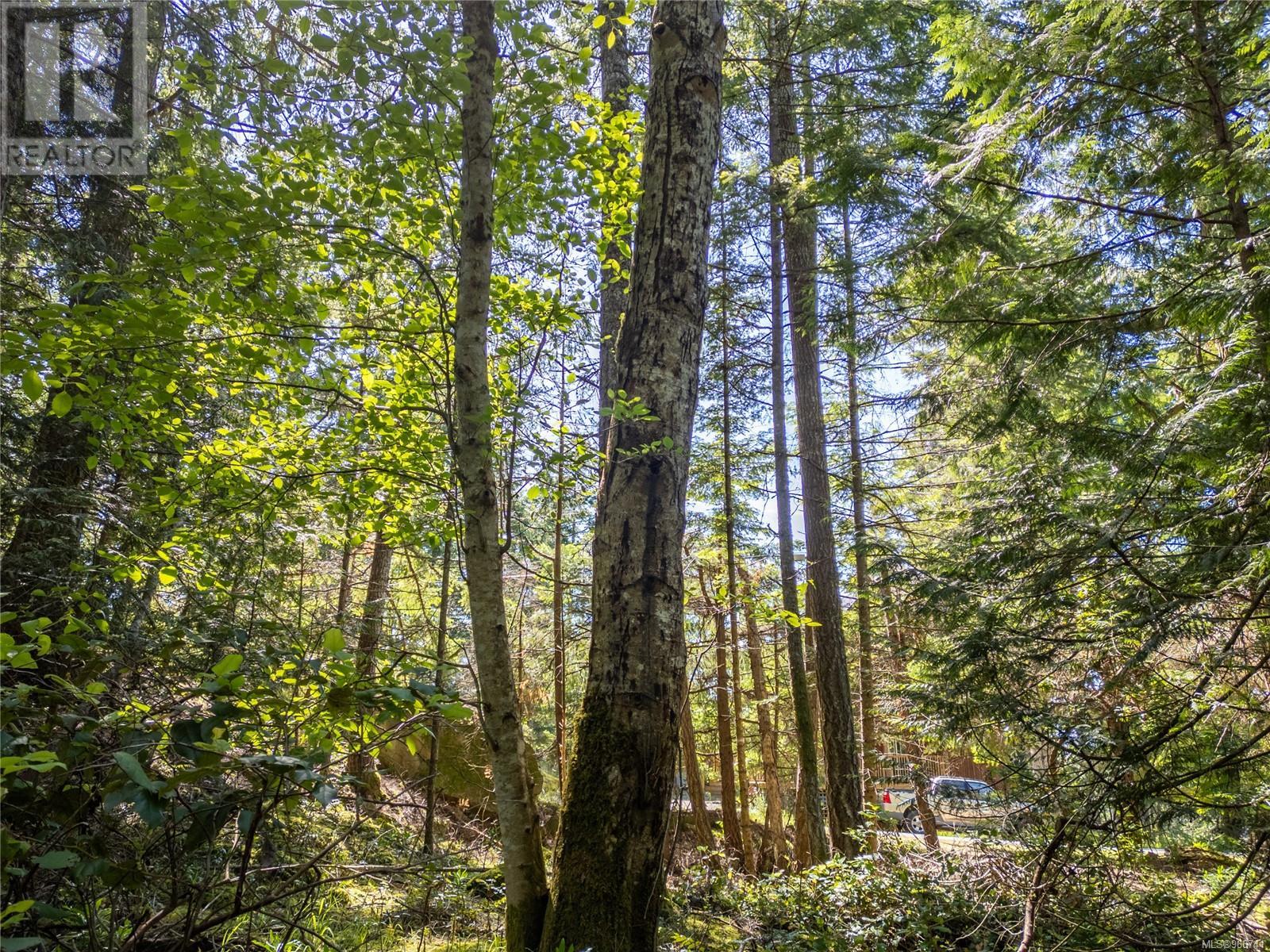 3624 Foc-sle Rd Property Photo 2
