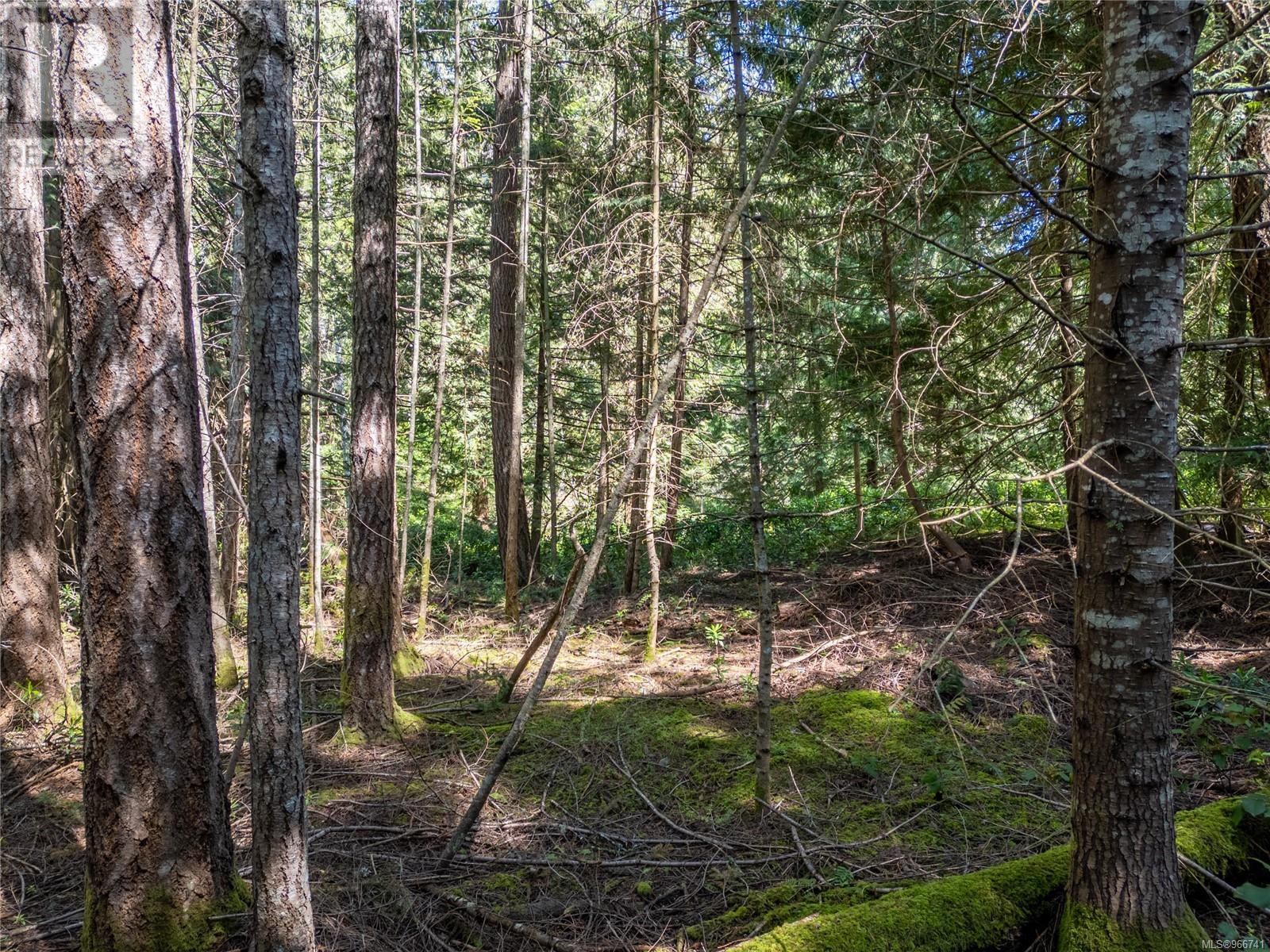3624 Foc-sle Rd Property Photo 5