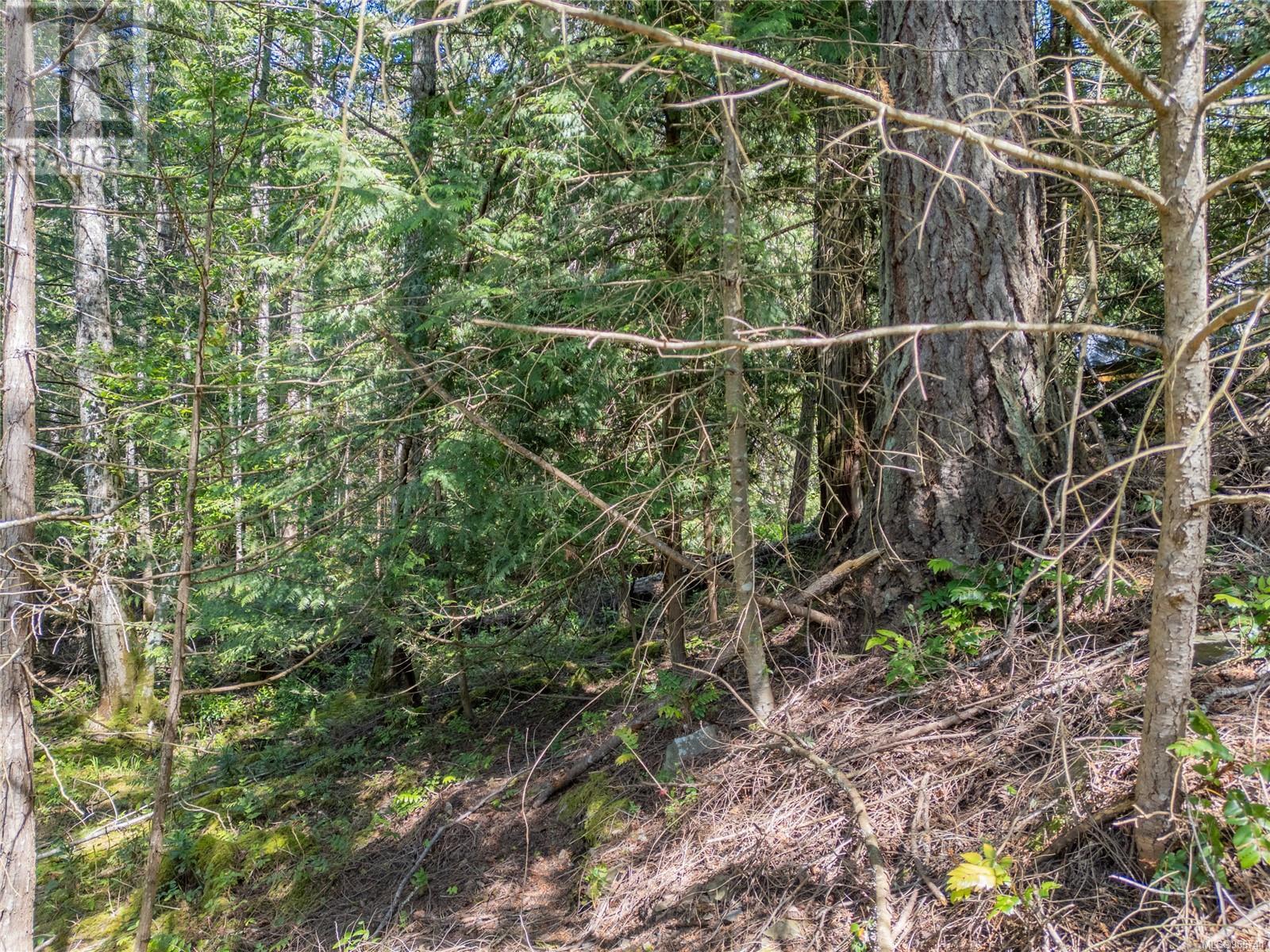 3624 Foc-sle Rd Property Photo 6