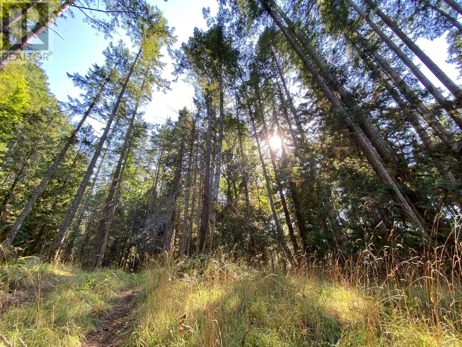 Lt 4 Sitka Grove Property Photo 5
