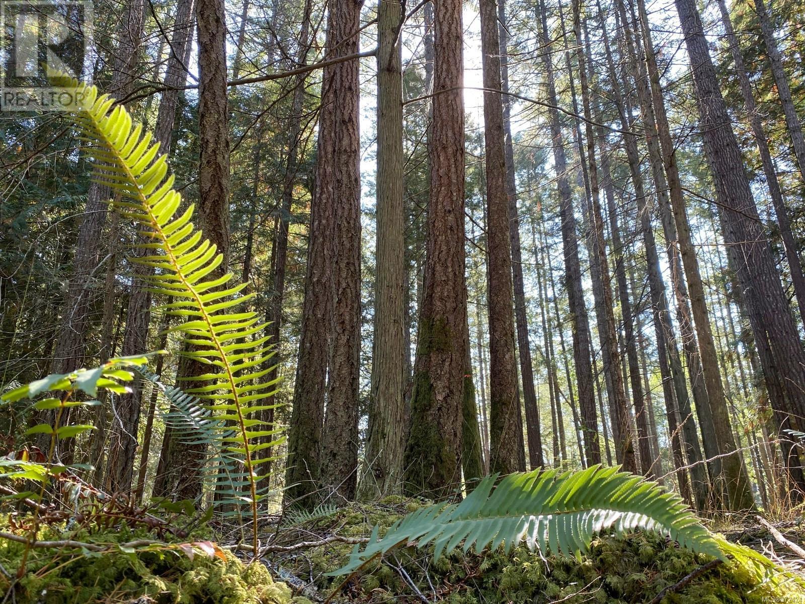Lt 4 Sitka Grove Property Photo 6