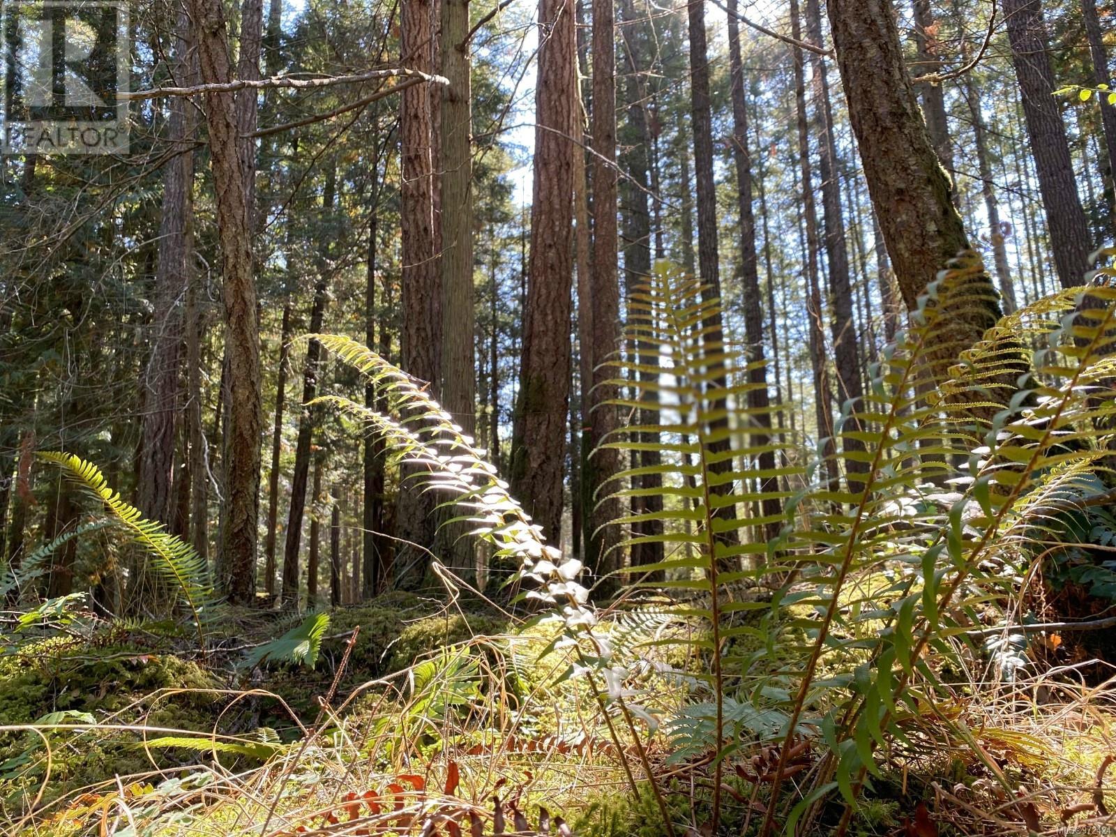 Lt 4 Sitka Grove Property Photo 8