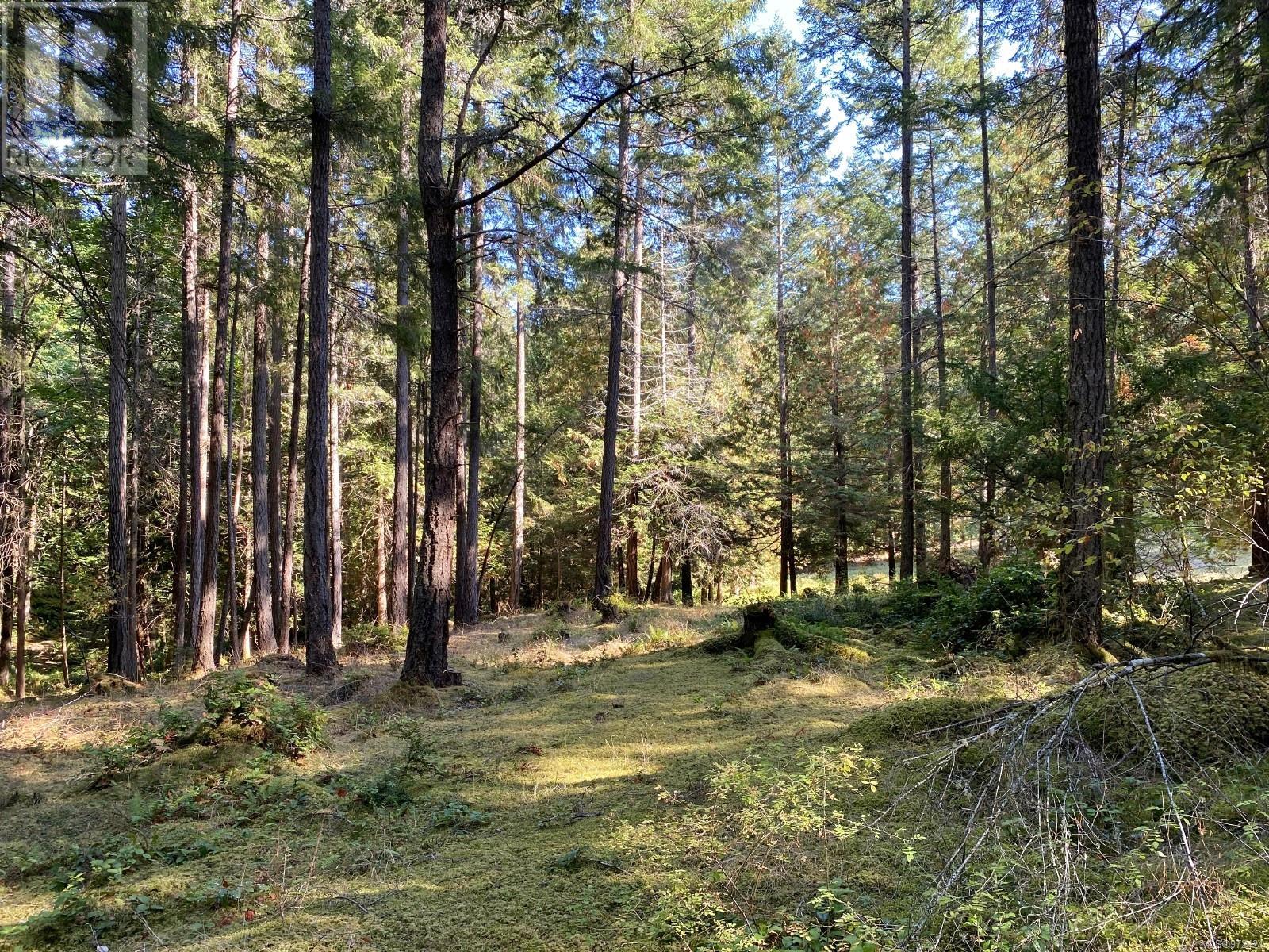Lt 4 Sitka Grove Property Photo 11