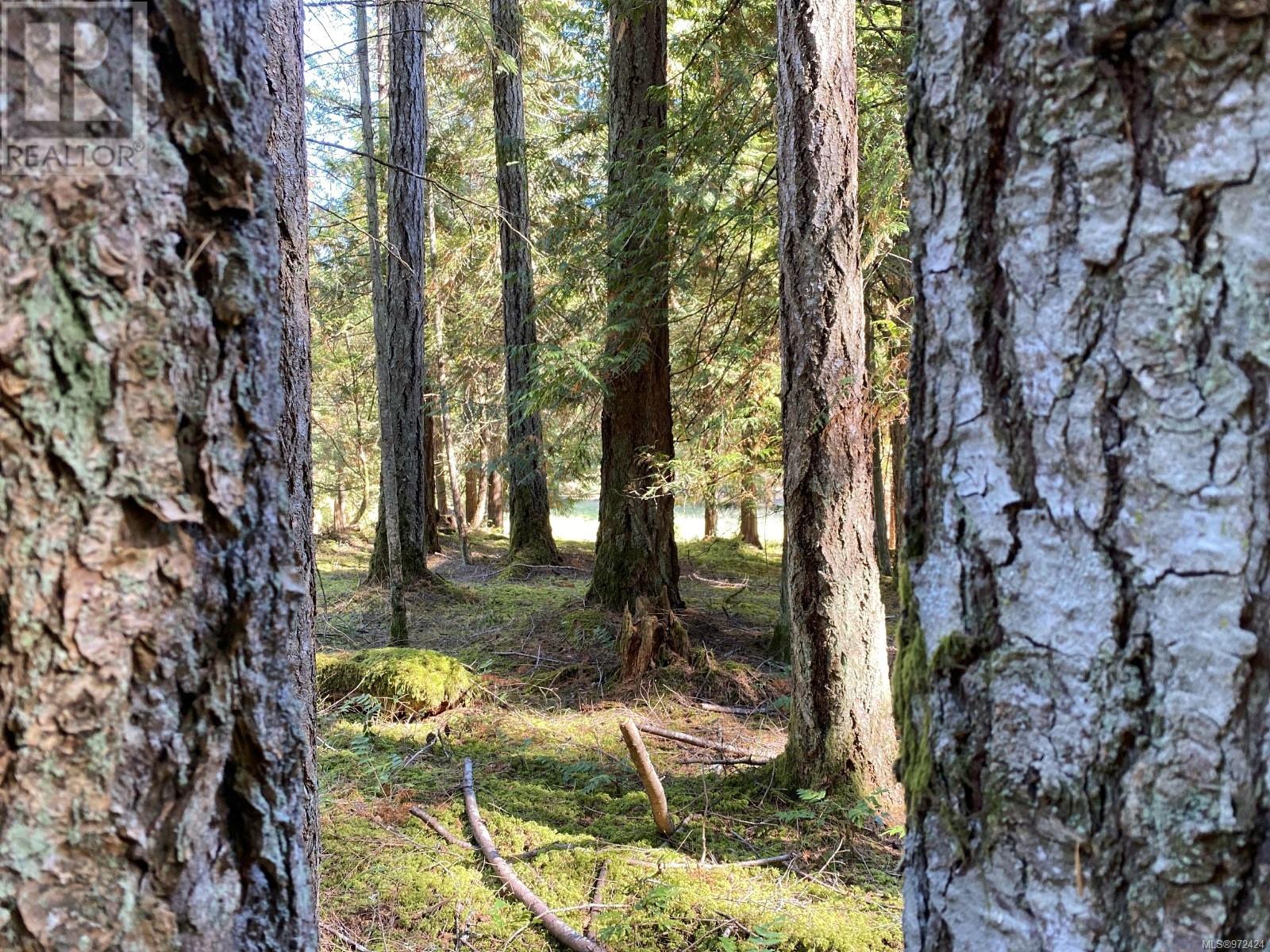 Lt 4 Sitka Grove Property Photo 12