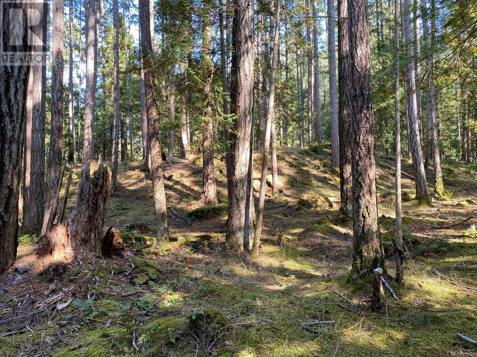 Lt 4 Sitka Grove Property Photo 19