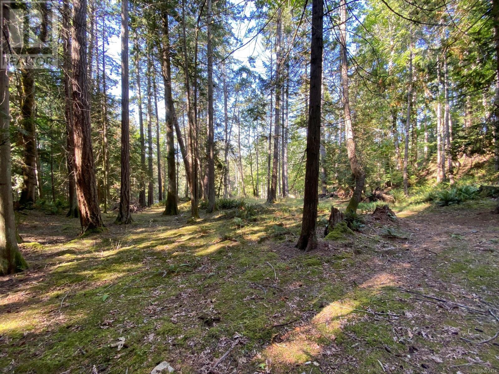 Lt 4 Sitka Grove Property Photo 23