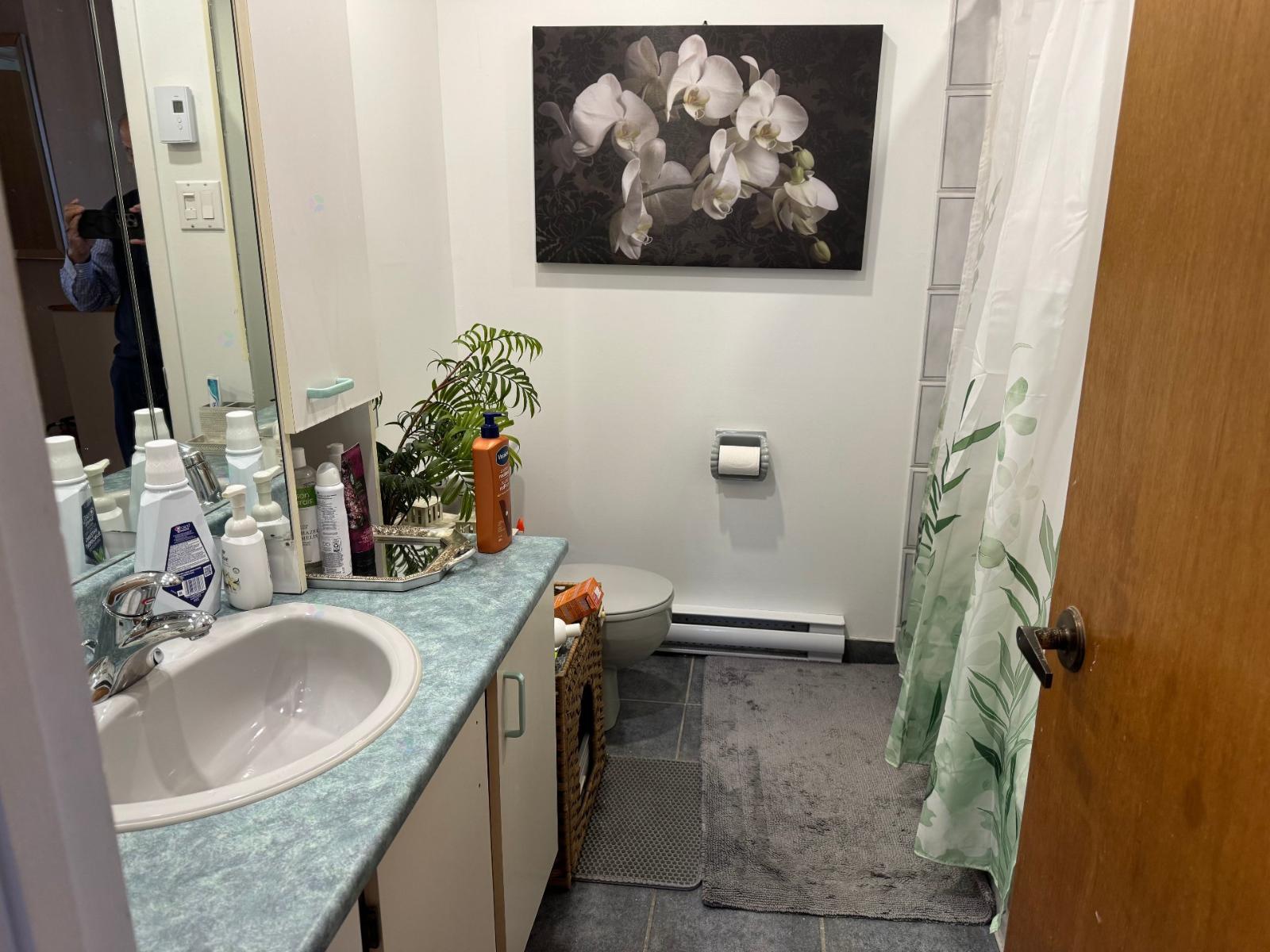 2 Rue Boyer Property Photo 22