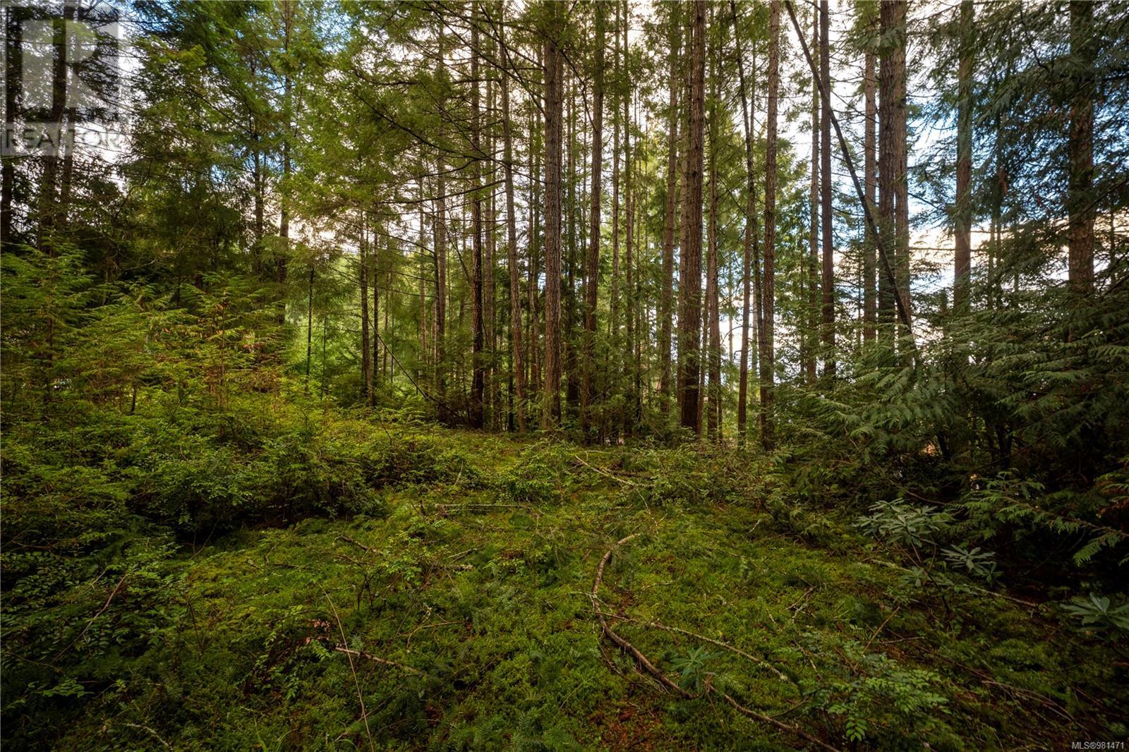 Lot 2 Wild Cherry Terr Property Photo 12