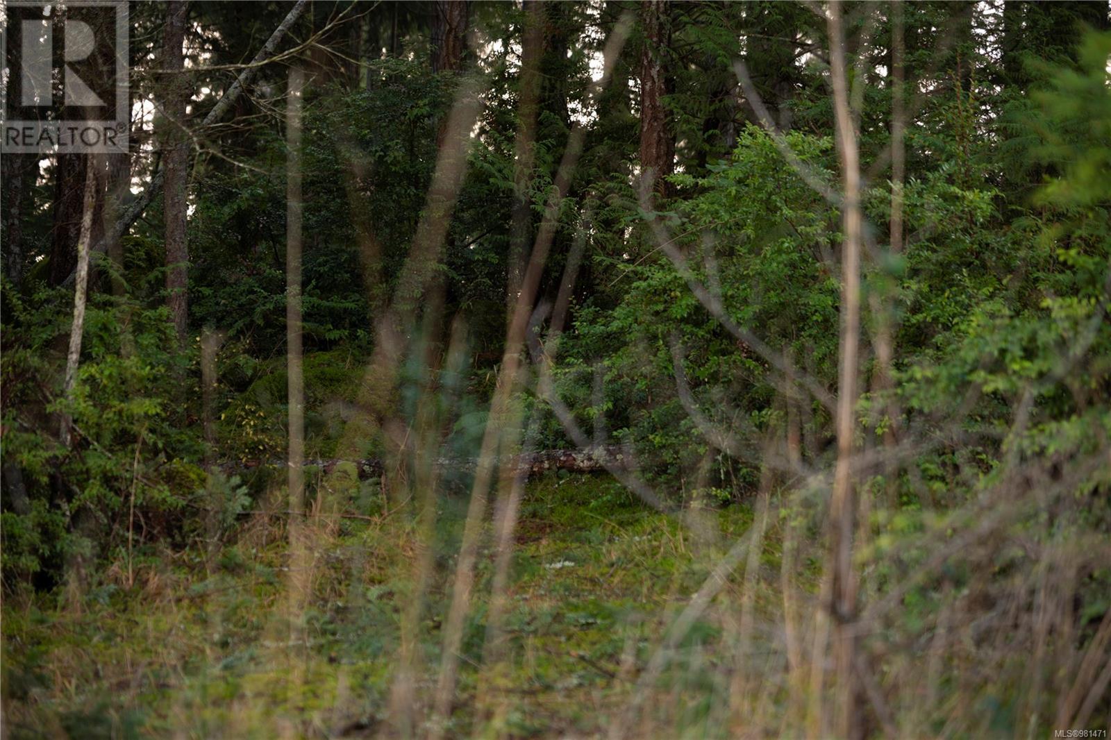 Lot 2 Wild Cherry Terr Property Photo 13