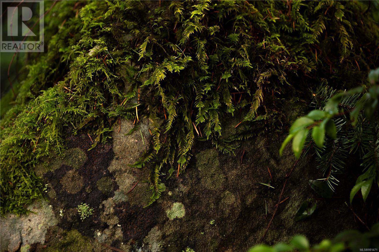 Lot 2 Wild Cherry Terr Property Photo 18